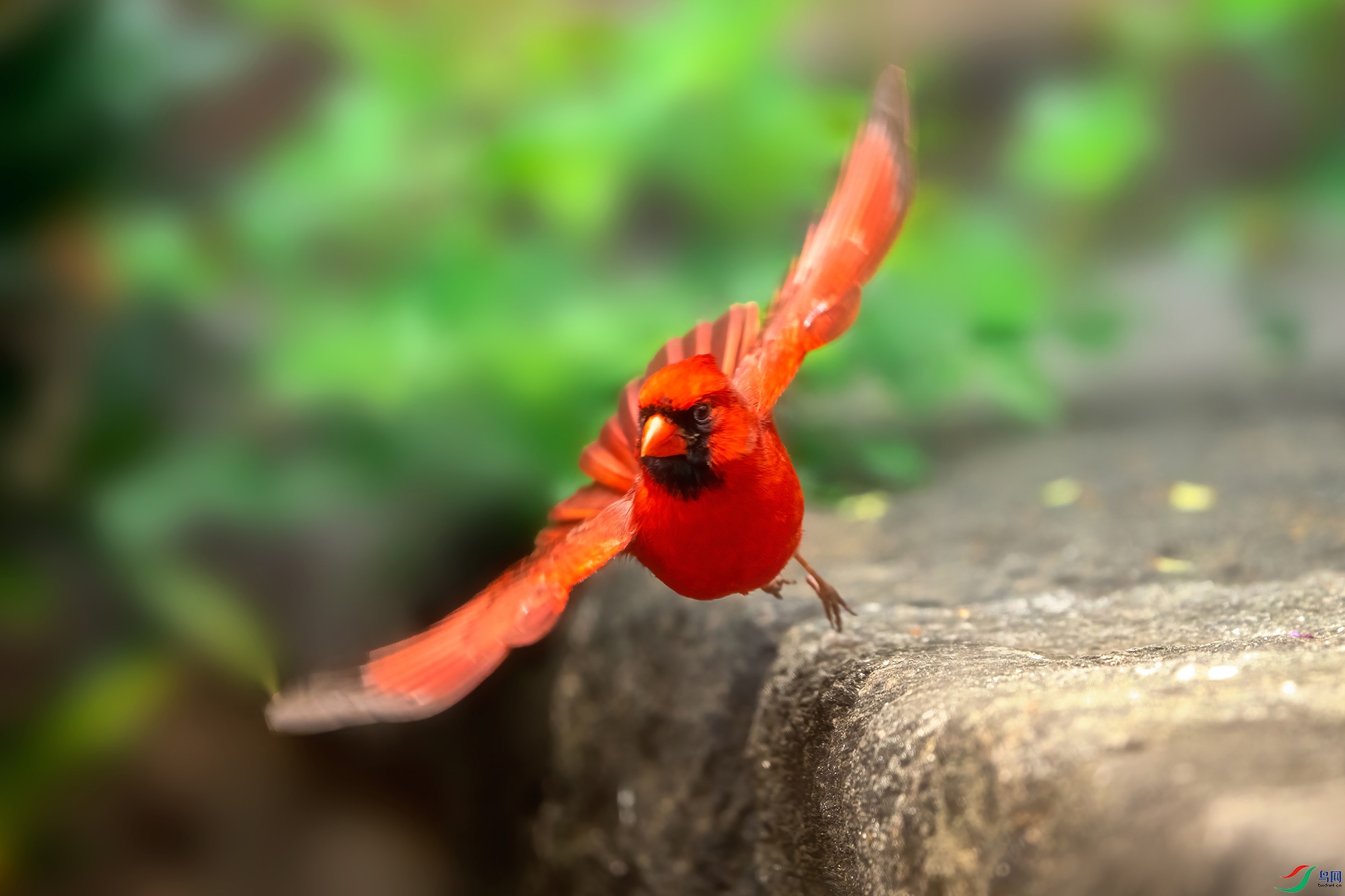 ��� 2022-4��22 ŦԼ ë���� 13328068688 ����ȸ.jpg