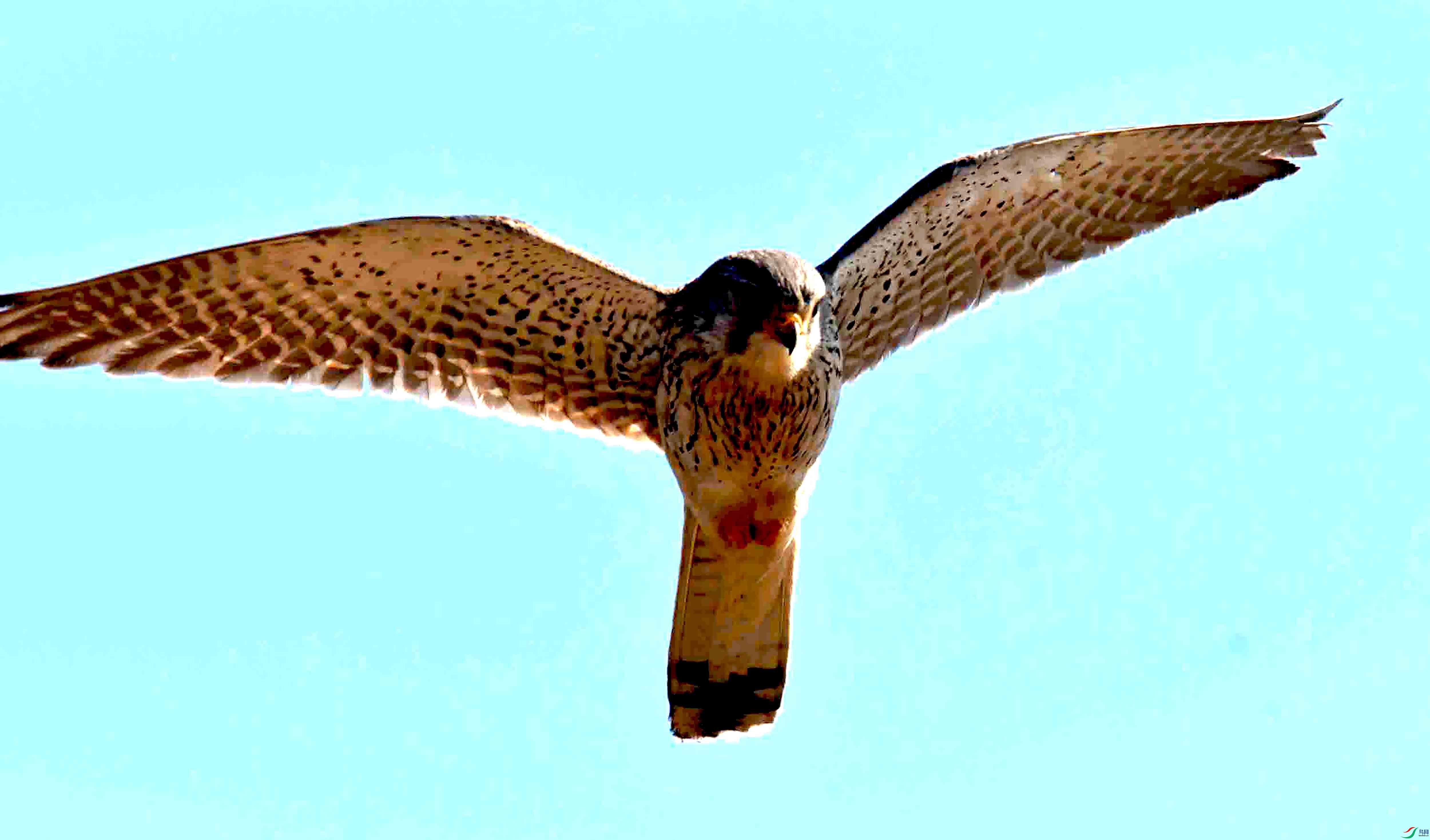 DSC_2774.JPG