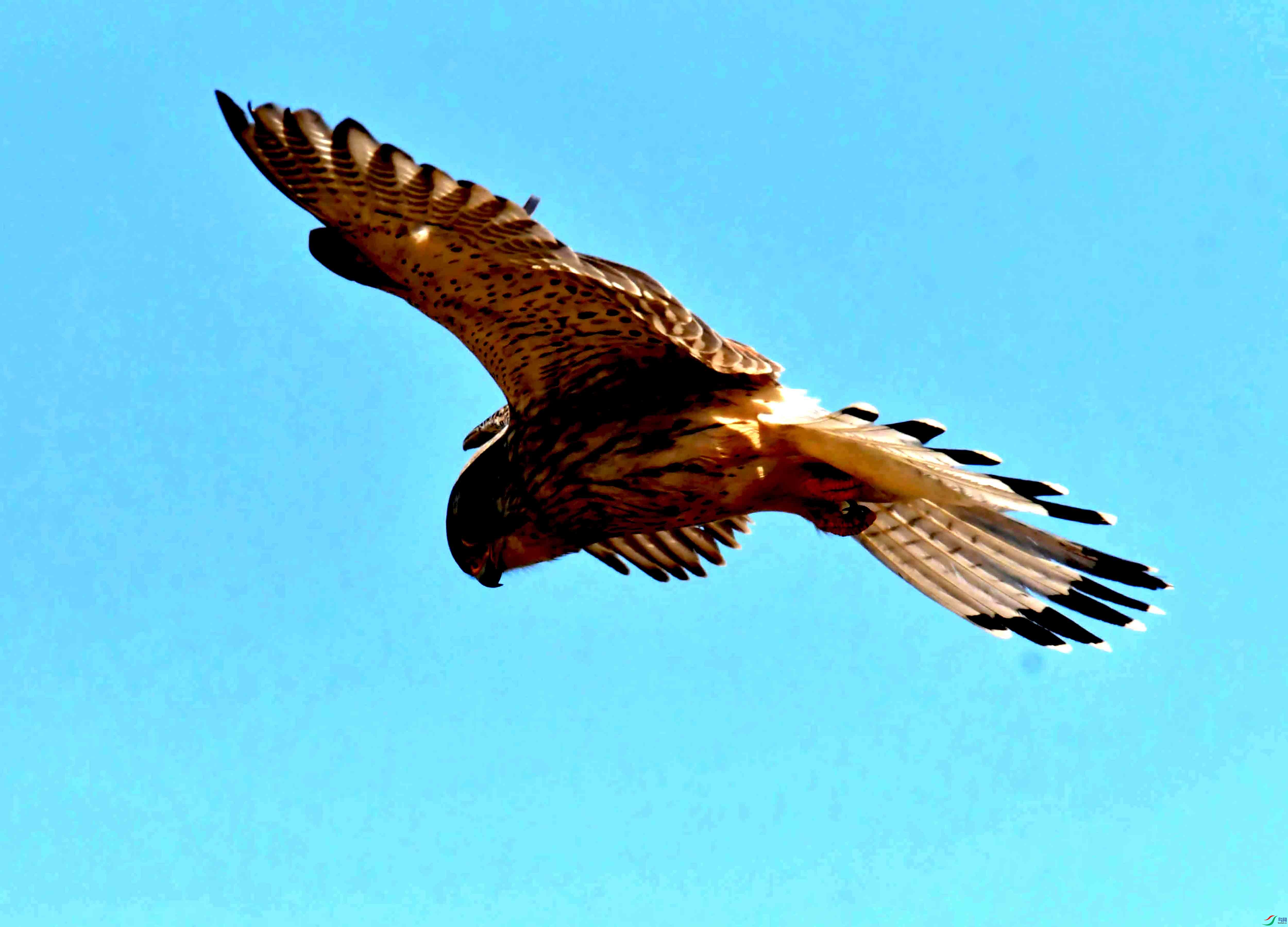 DSC_2800.JPG