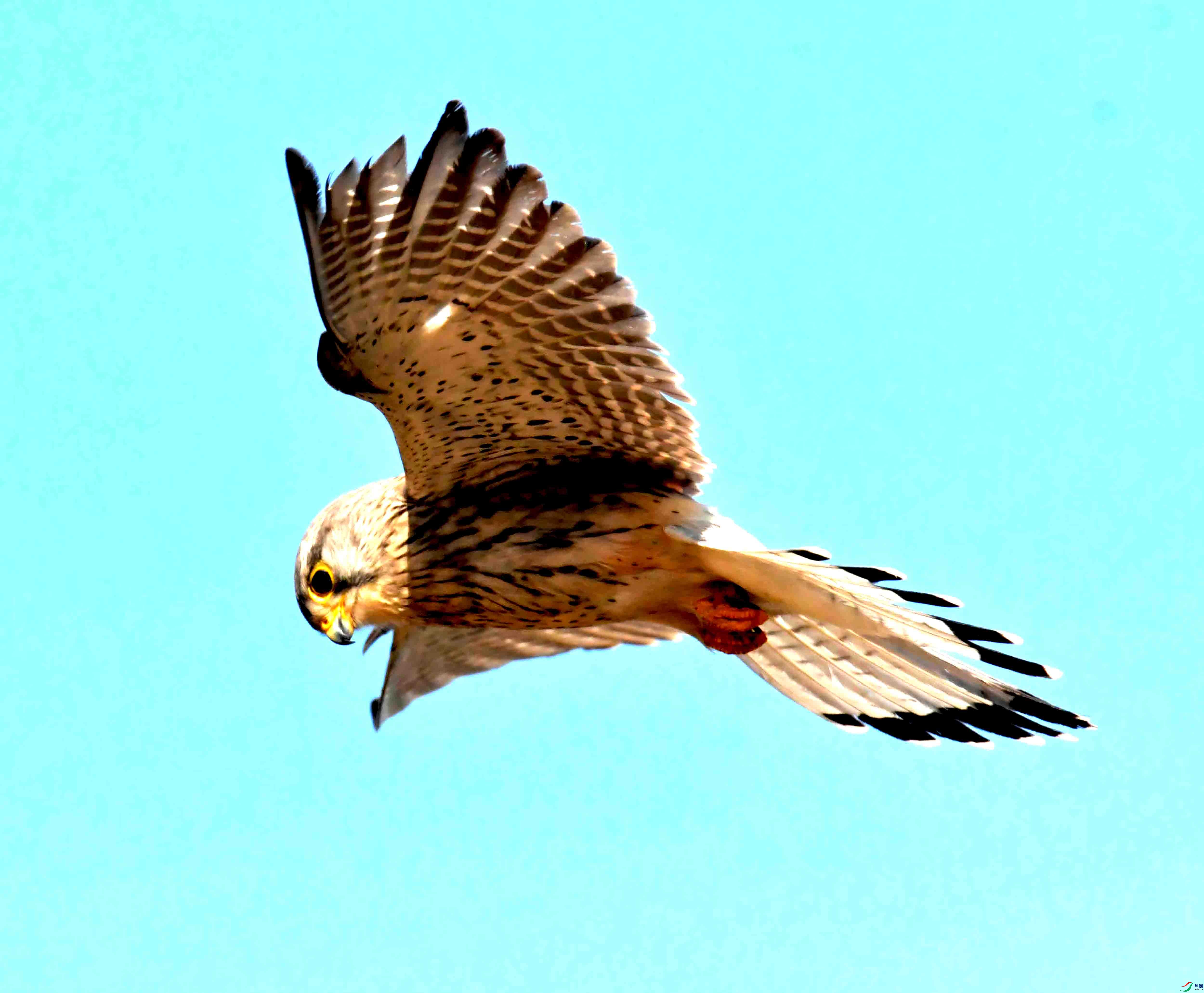 DSC_2804.JPG