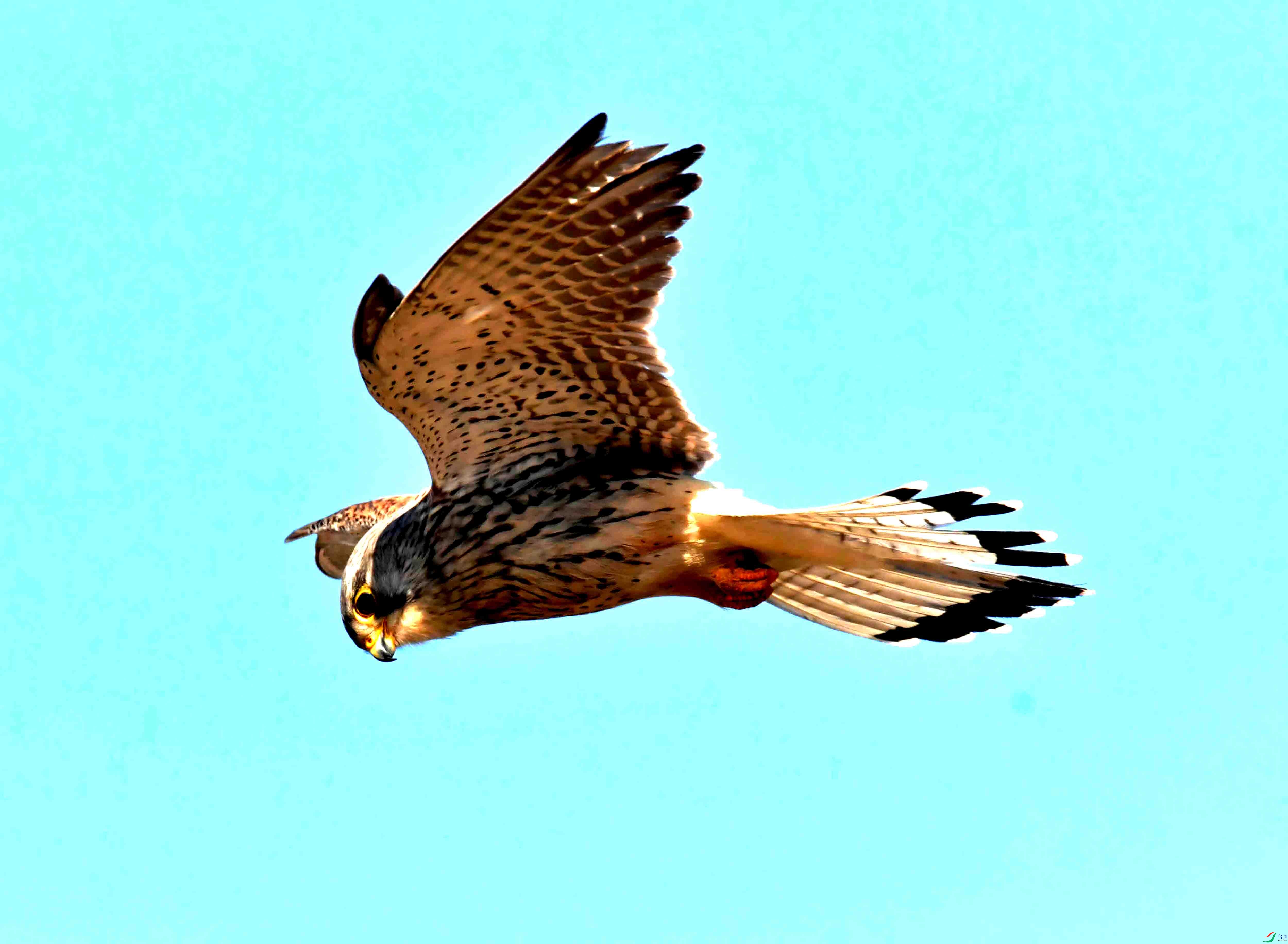 DSC_2806.JPG