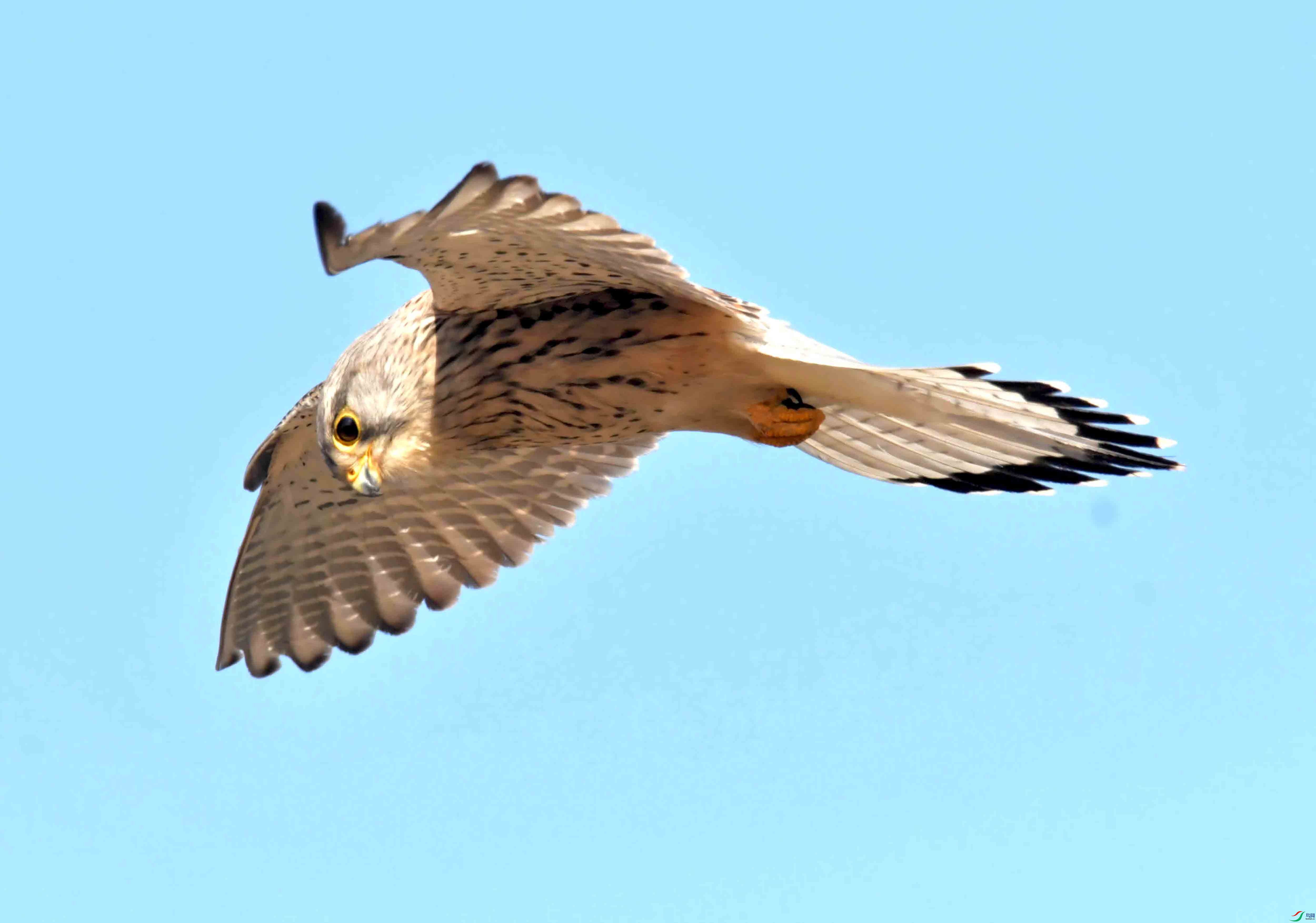 DSC_2808.JPG
