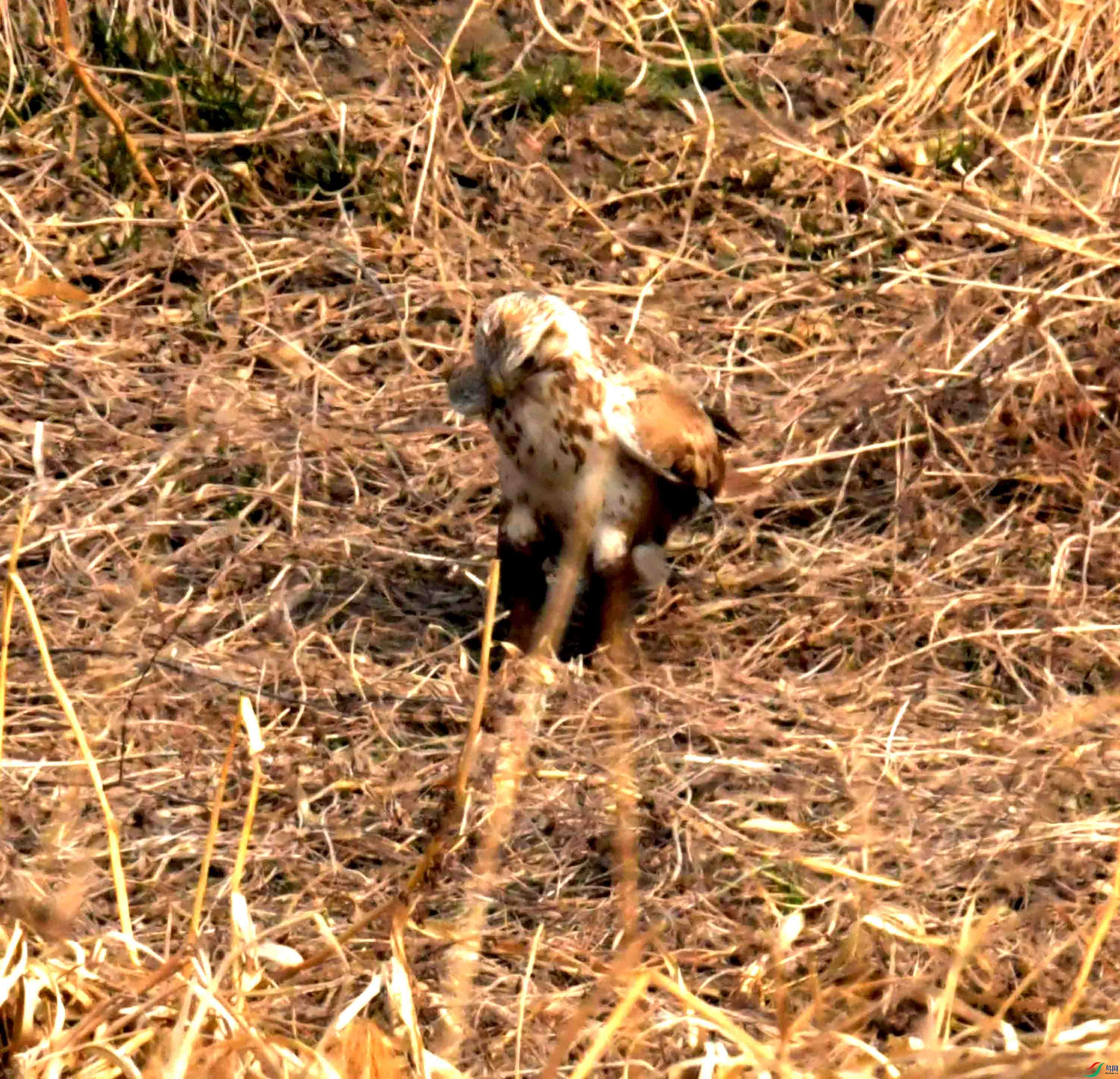 DSC_2187.JPG