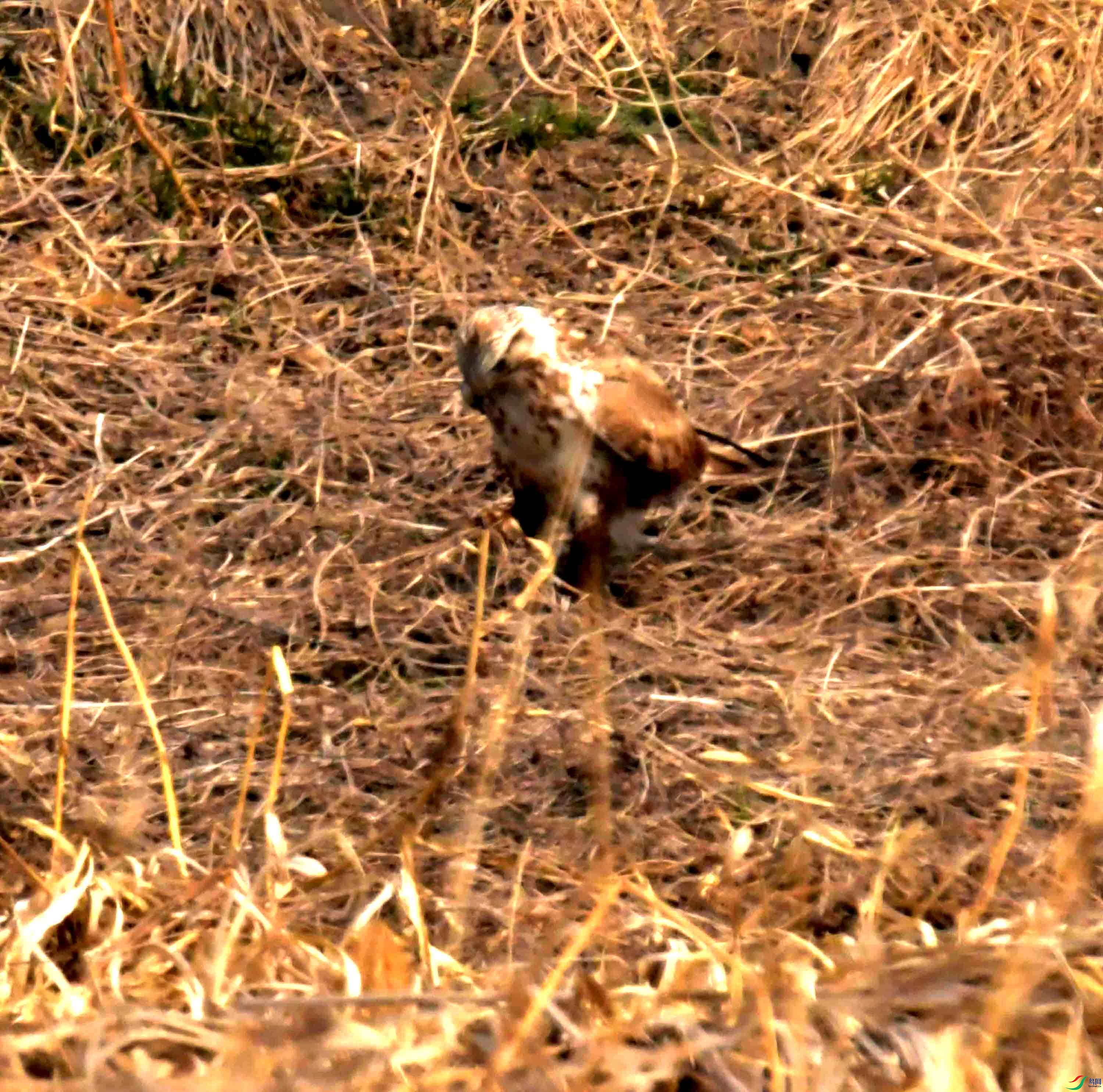 DSC_2189.JPG