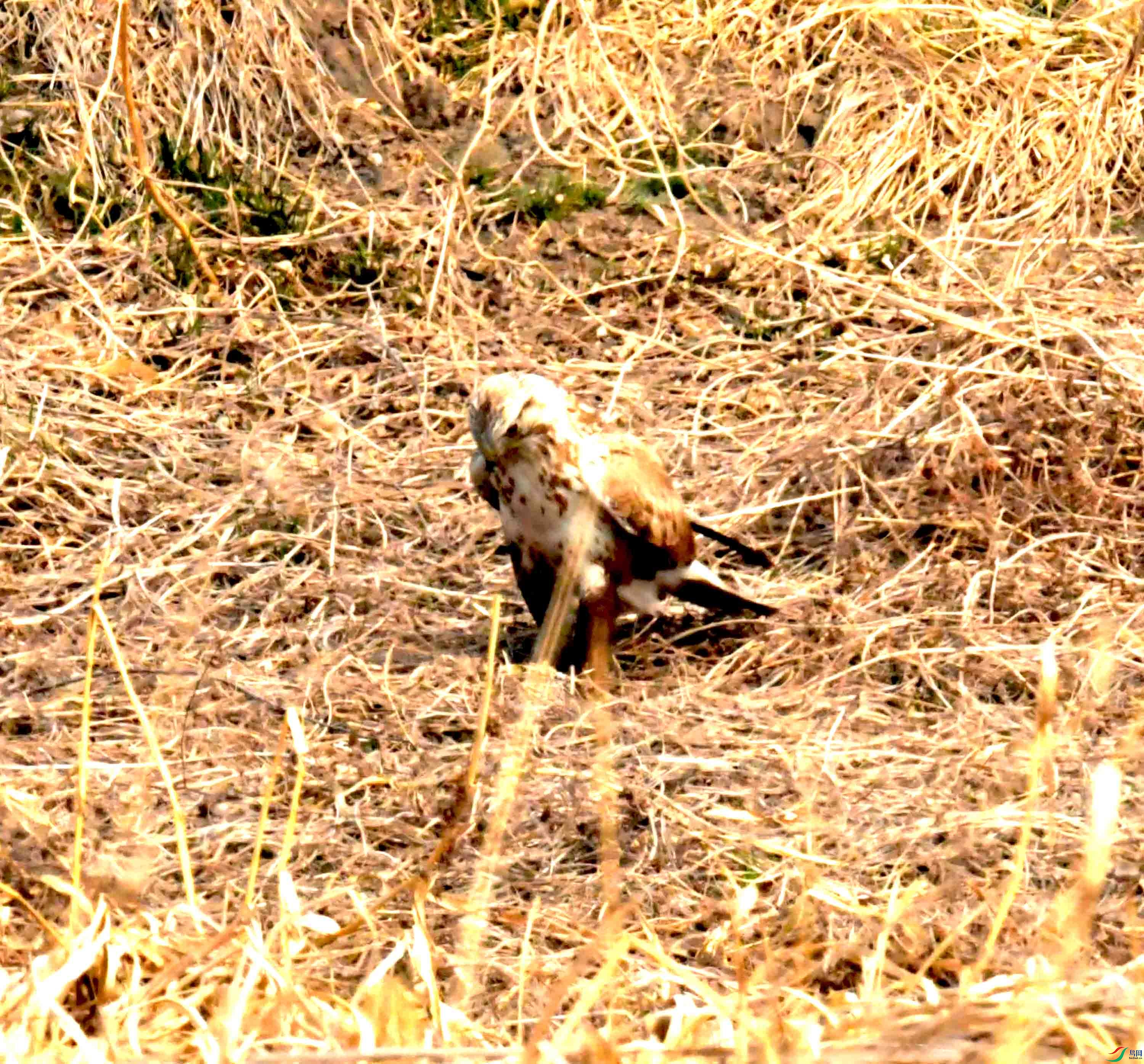 DSC_2193.JPG