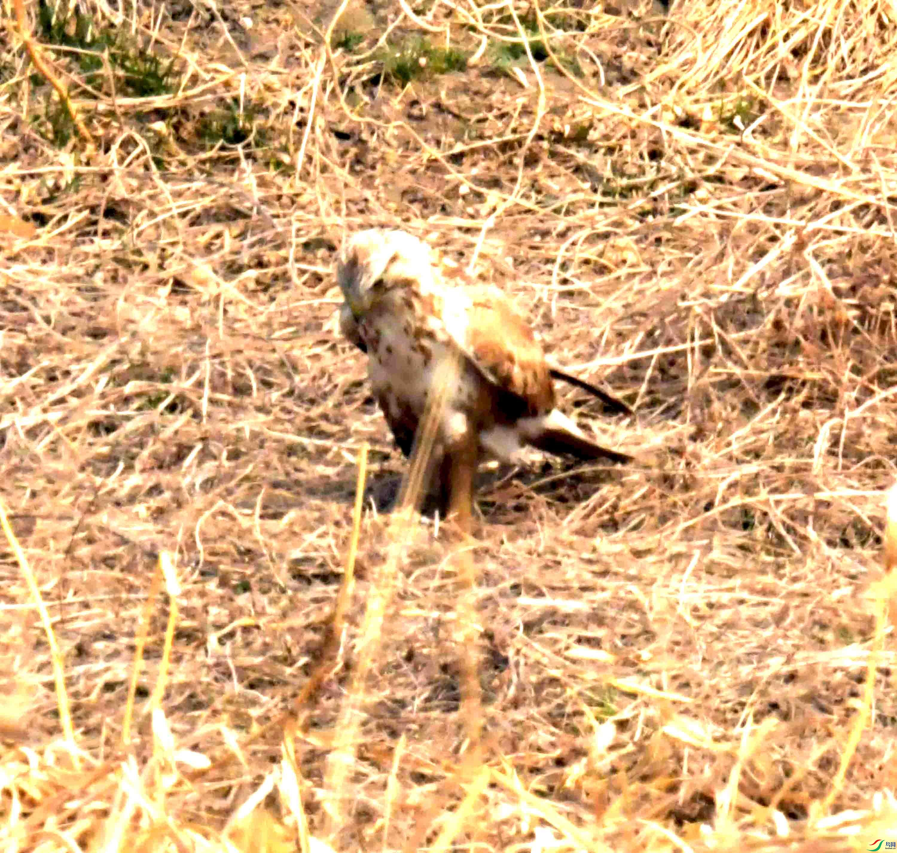 DSC_2192.JPG