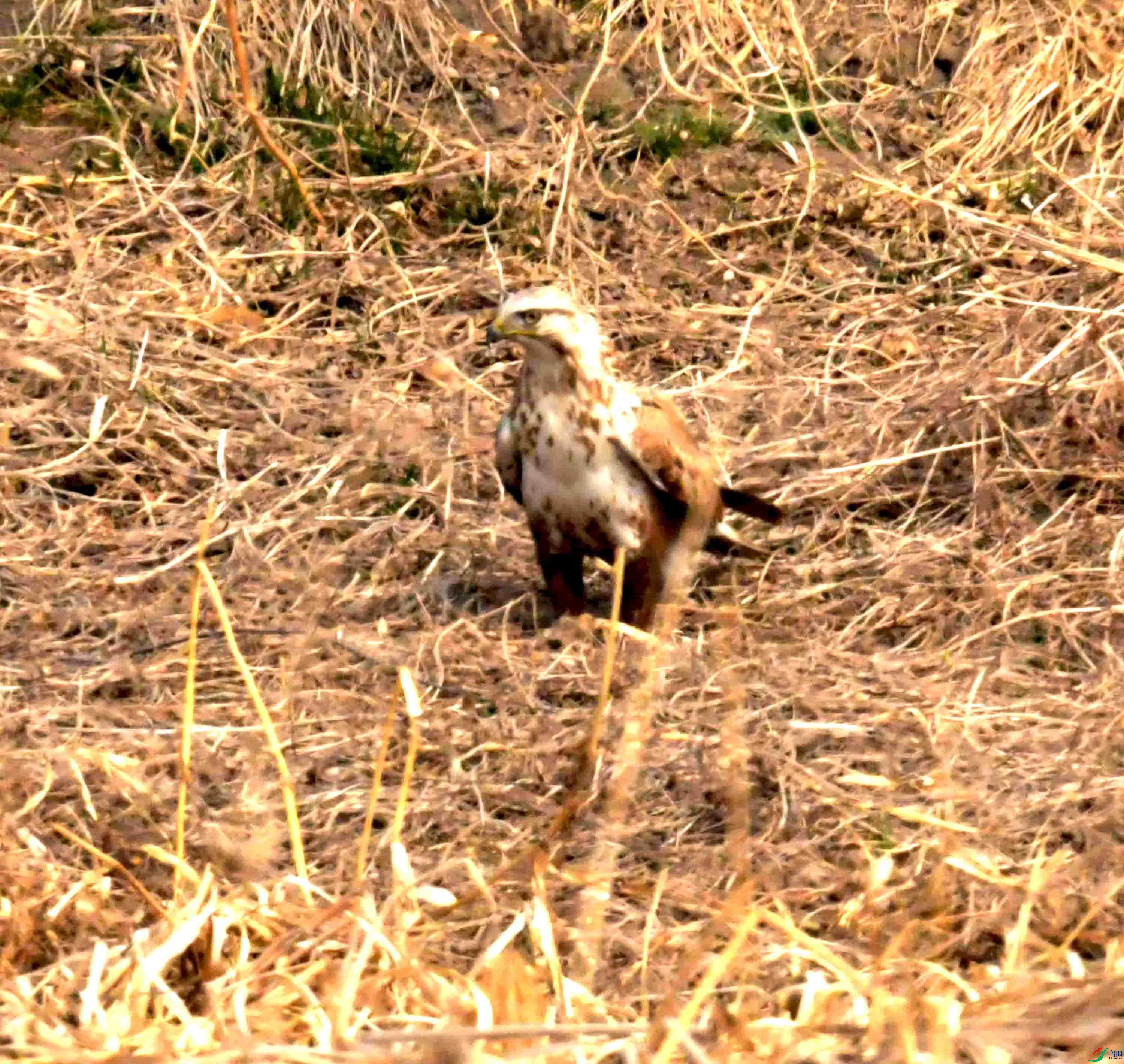 DSC_2201.JPG