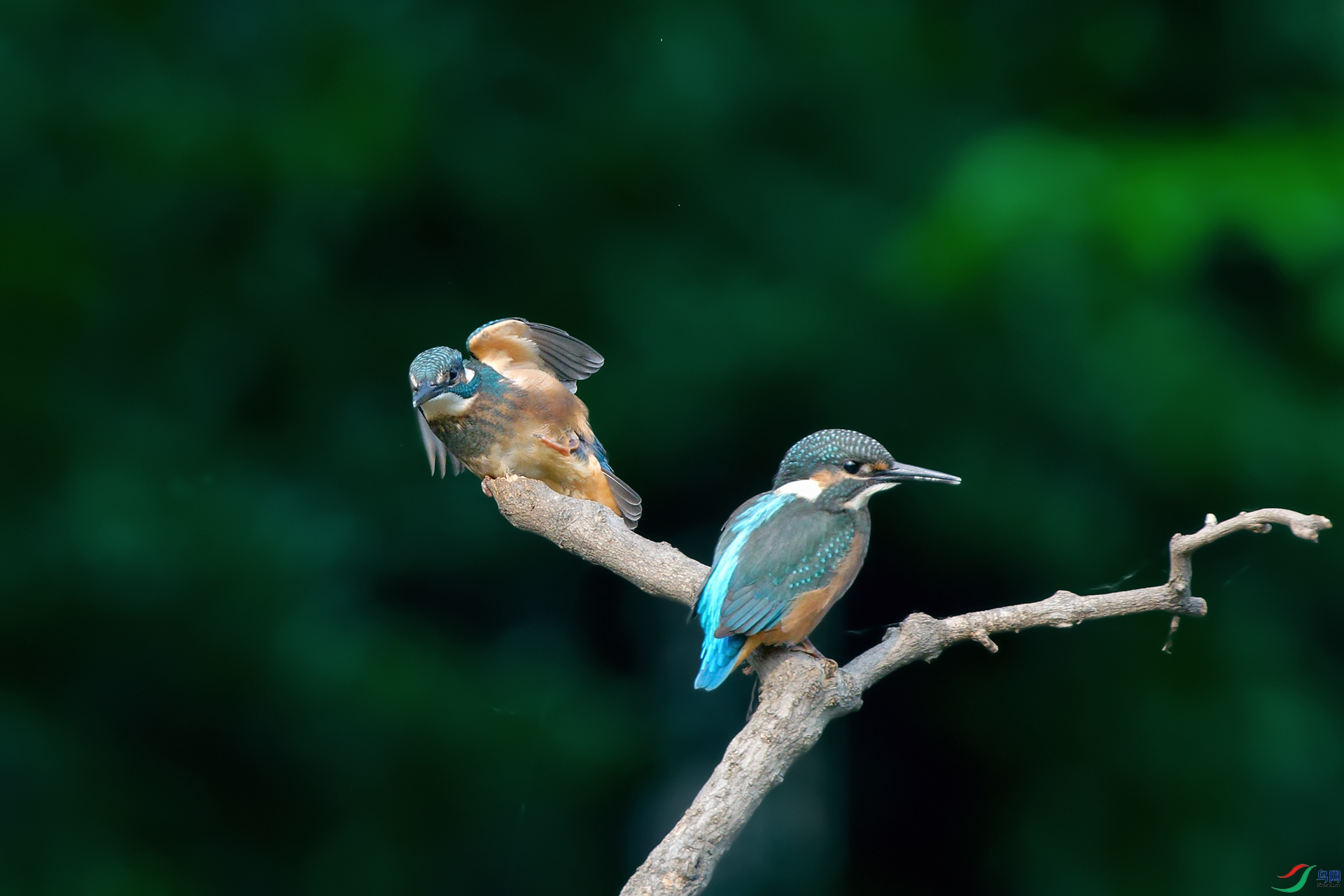 3DSC_0999_DxOa.jpg