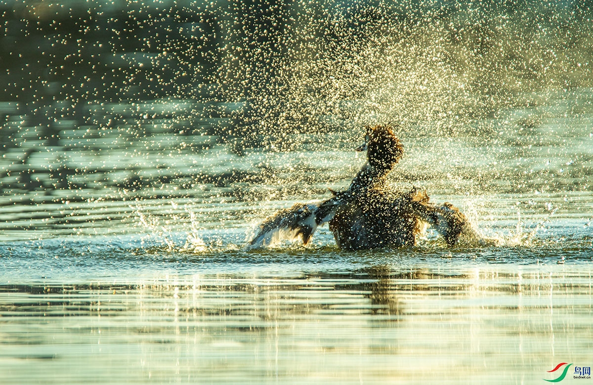 230530 (29).jpg