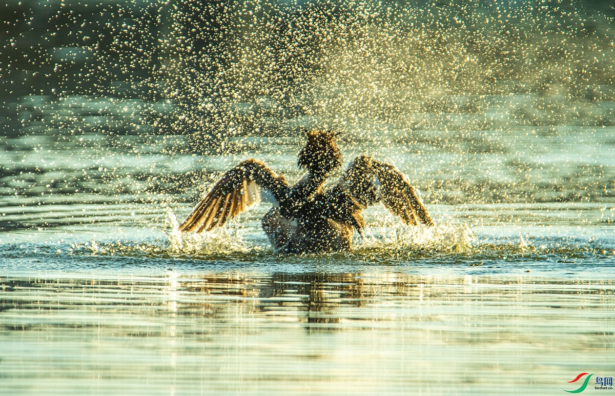 230530 (27).jpg