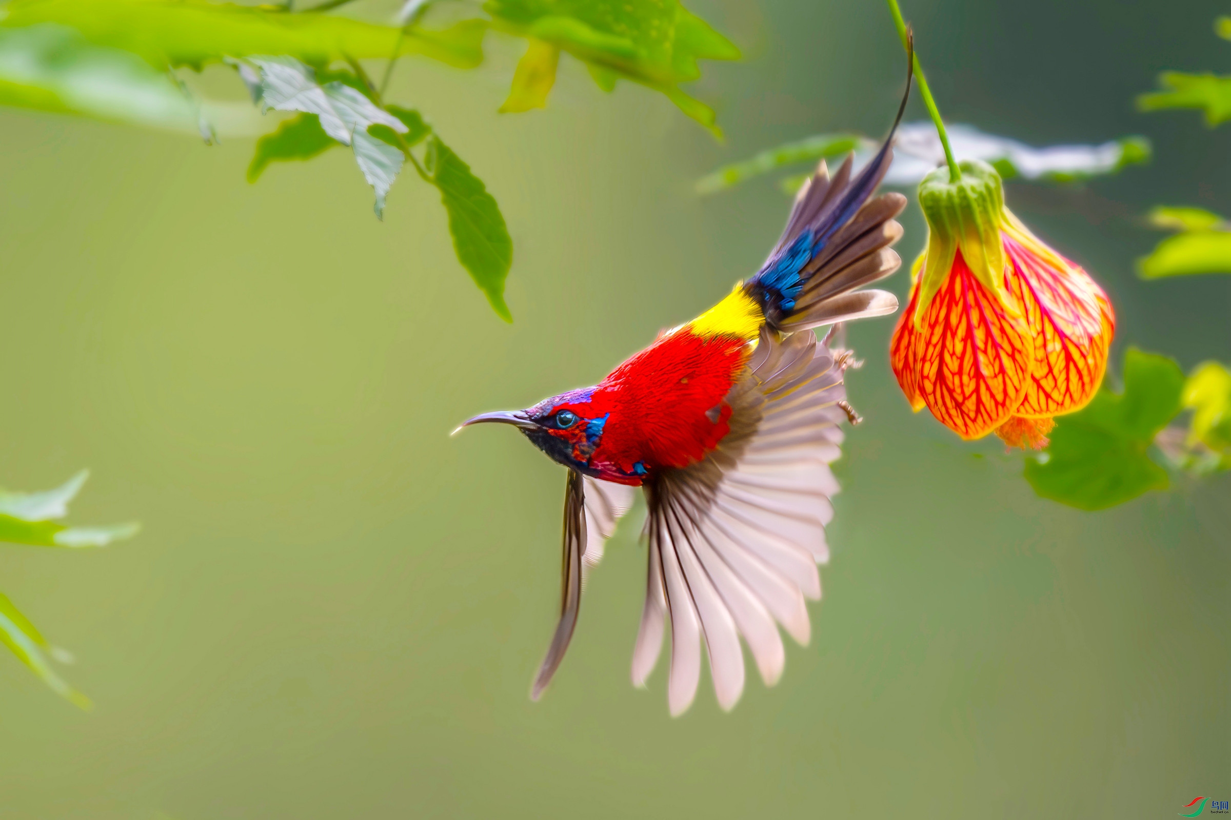 DSC_7133-NR ����_����.jpg