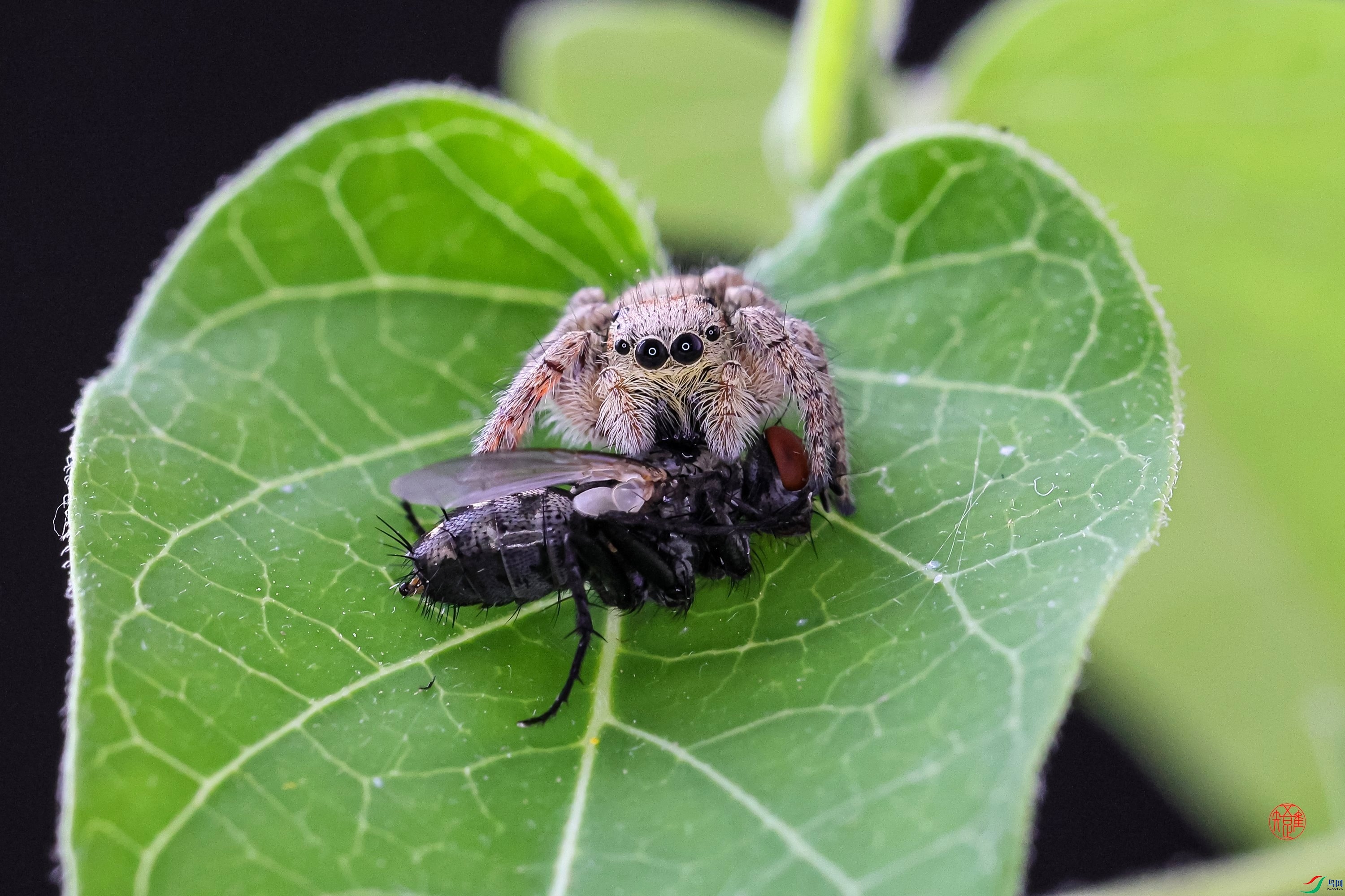 _23_1010x ����.jpg