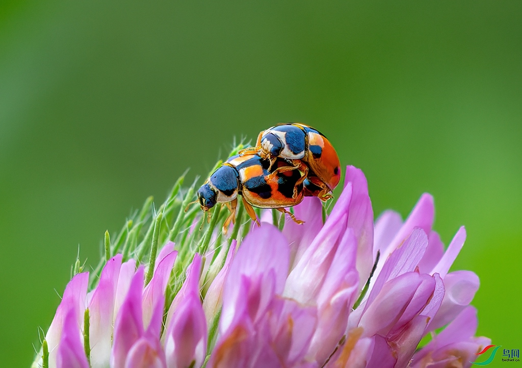 DSC05444-ARW_DxO_DeepPRIME ����.jpg