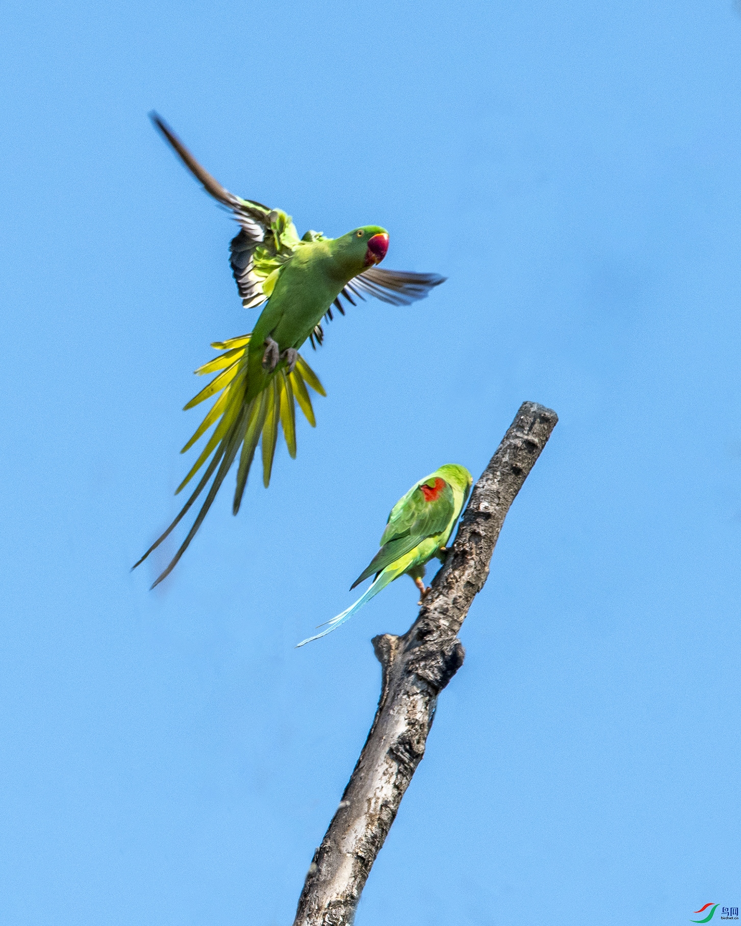 0042 ����.jpg