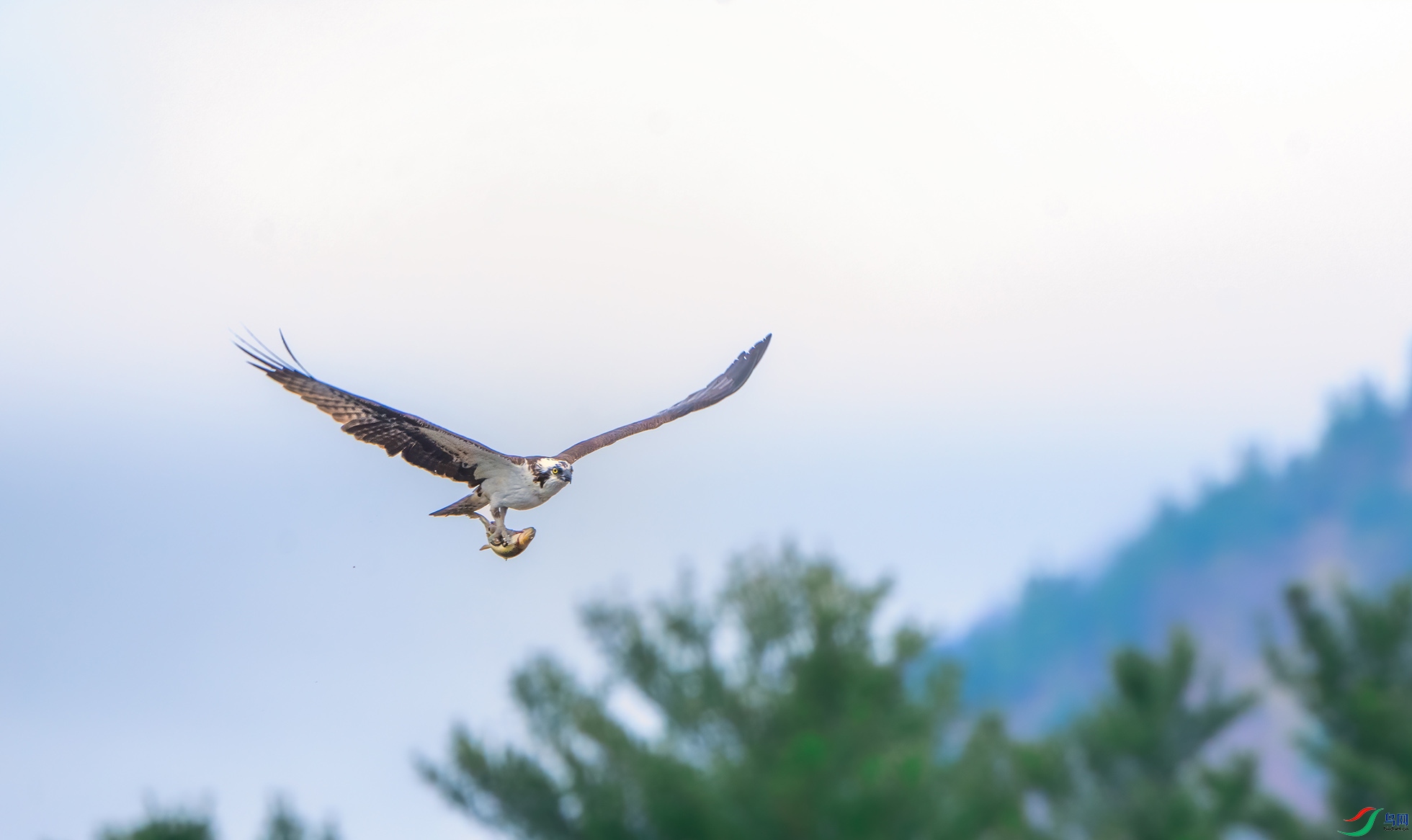 ���� 2023��5��6�� ����ŦԼ ë���� 13328068688 ��.jpg