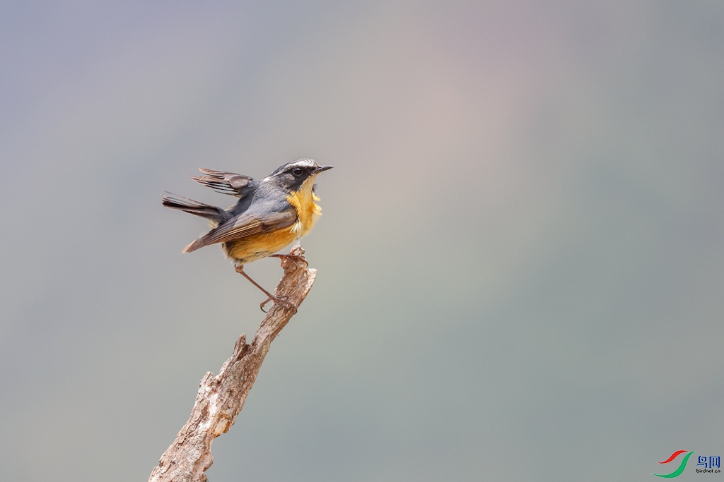 1M6A8471 ����_����.jpg