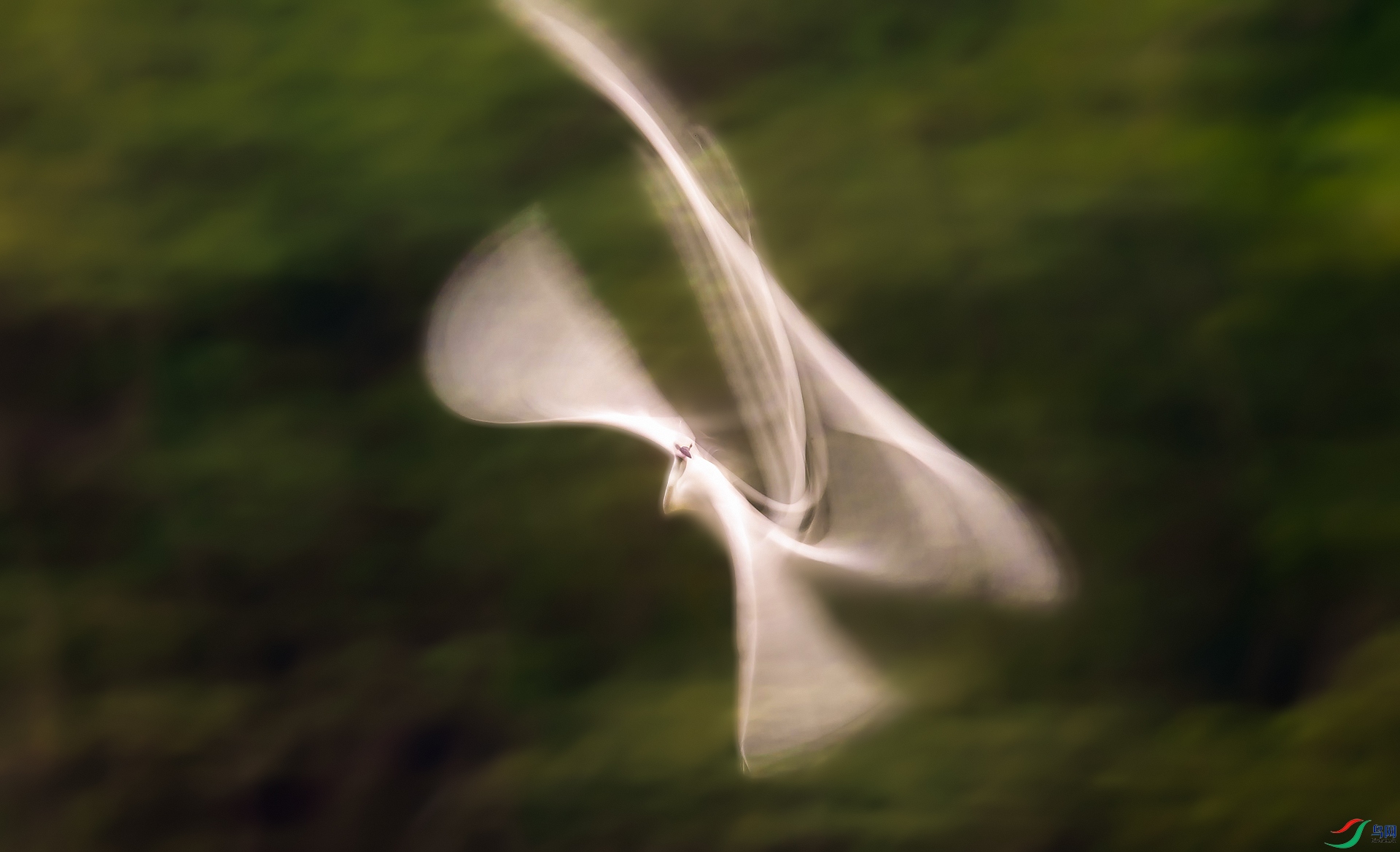 _CGS3020 - ����.jpg