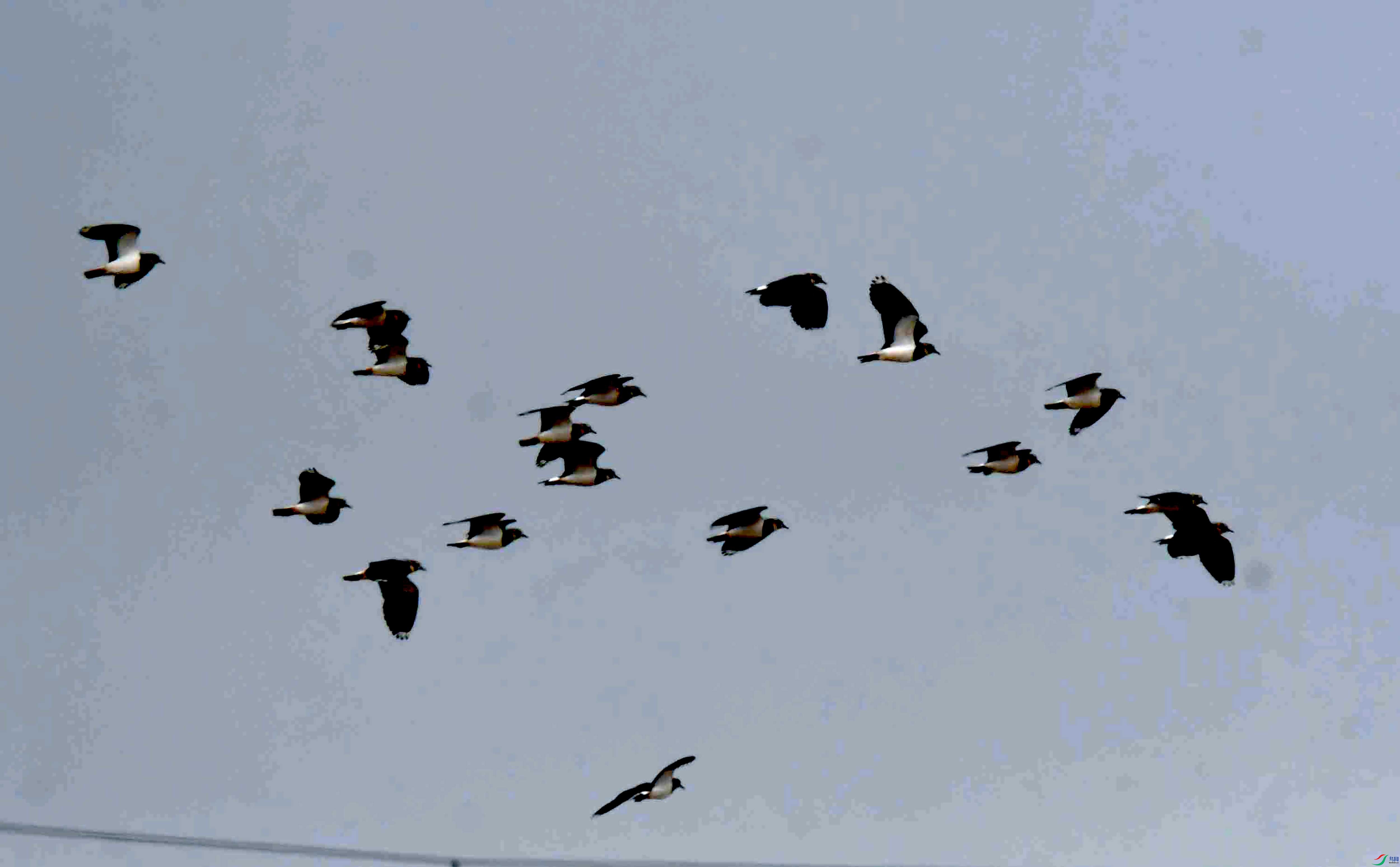 DSC_2548.JPG