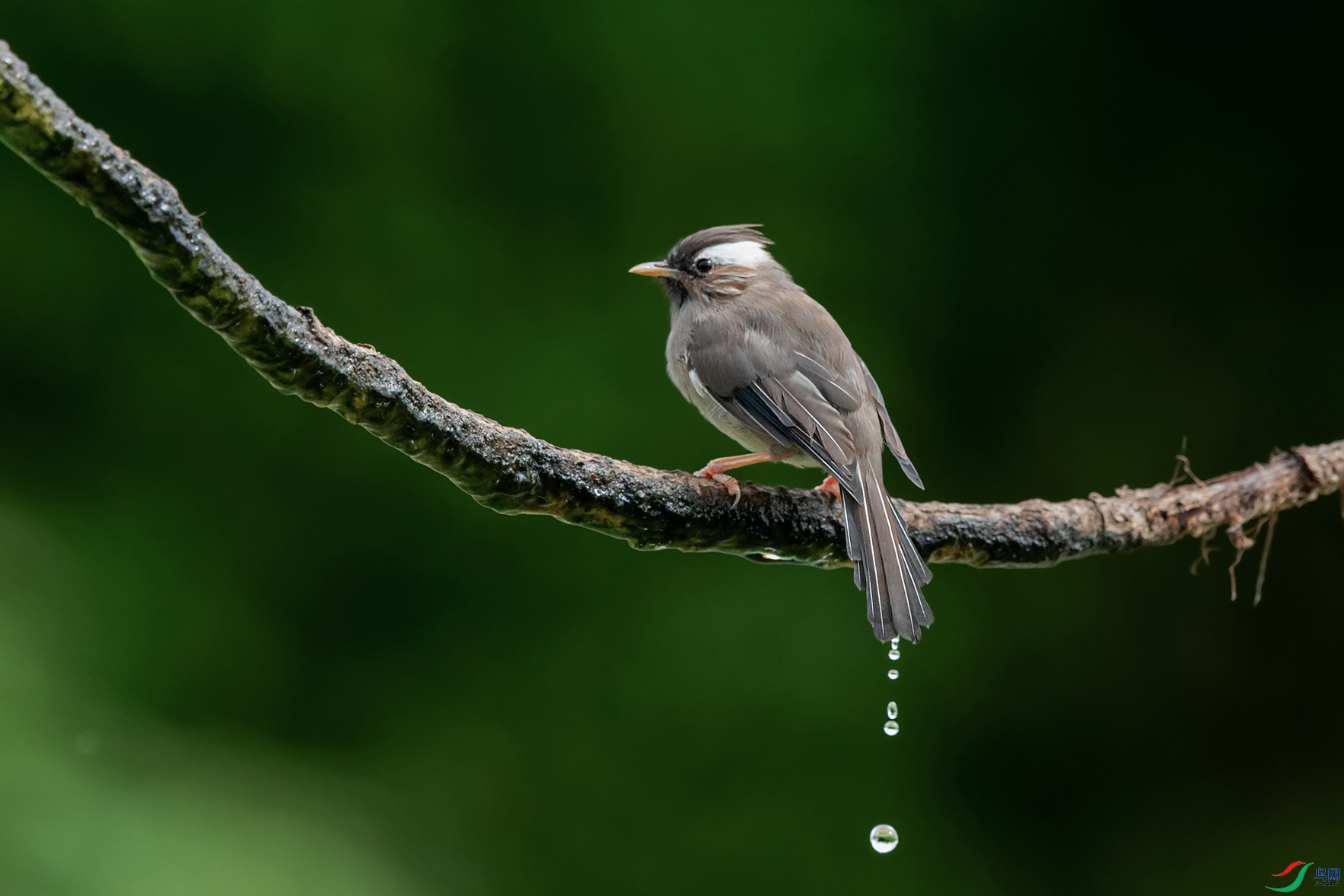 3DSC_6912_DxOa.jpg