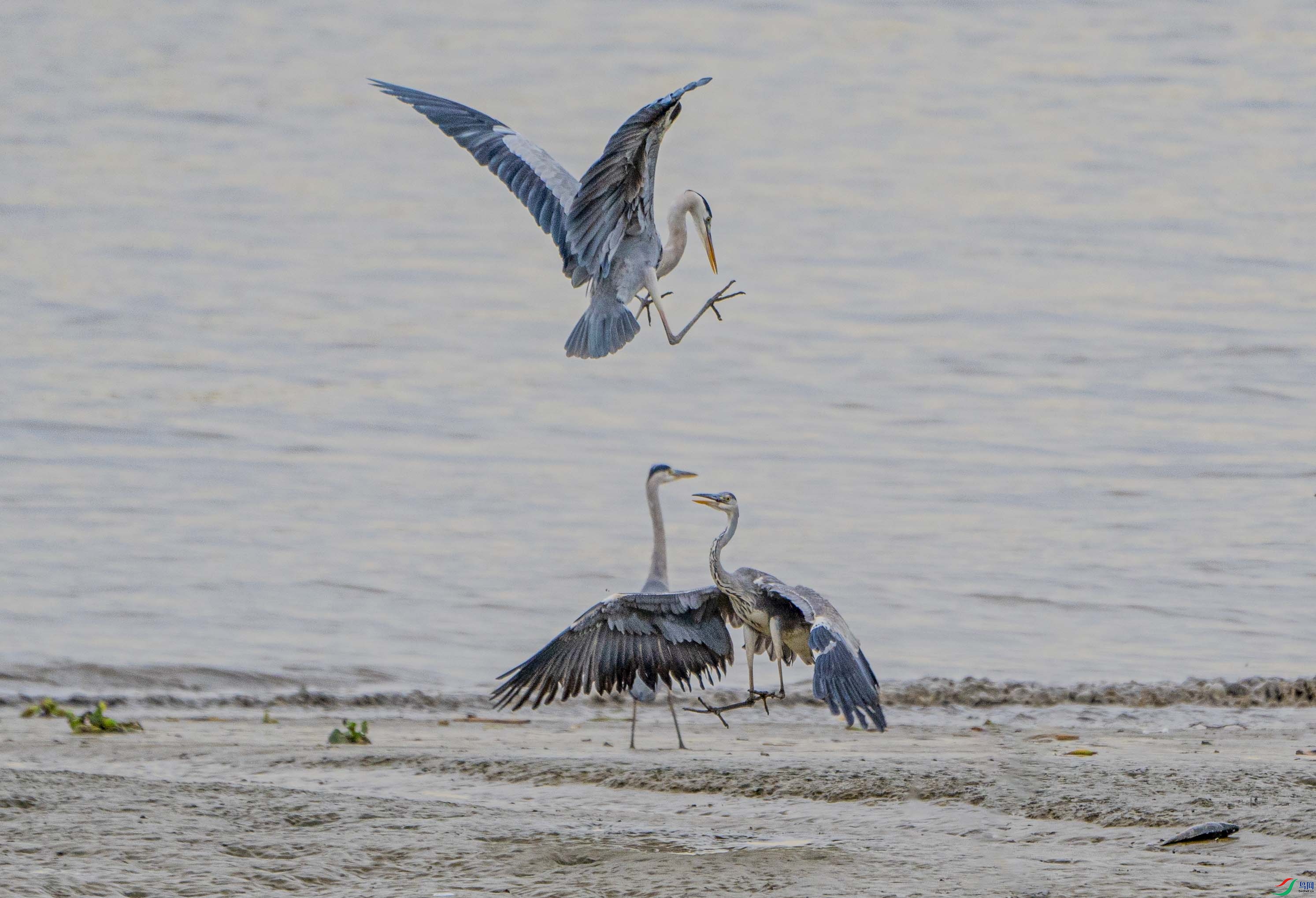 _DSC1208-.jpg