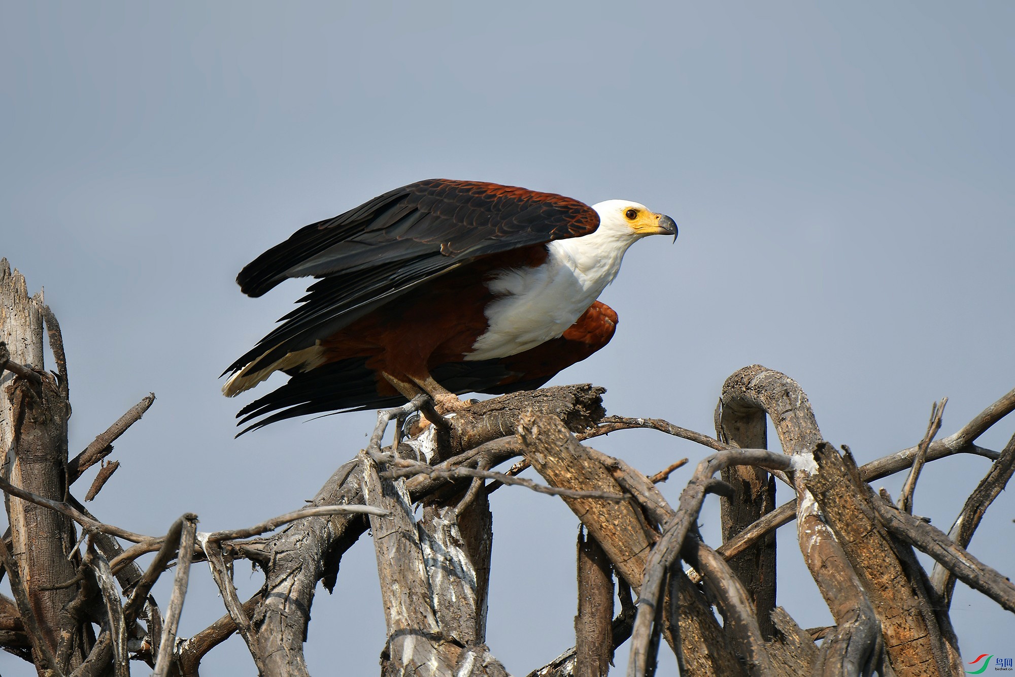 DSC_8898_.jpg
