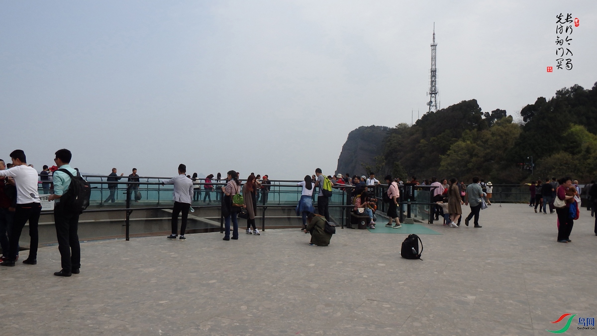 ���н�����   �ȷý��Ź�5.jpg