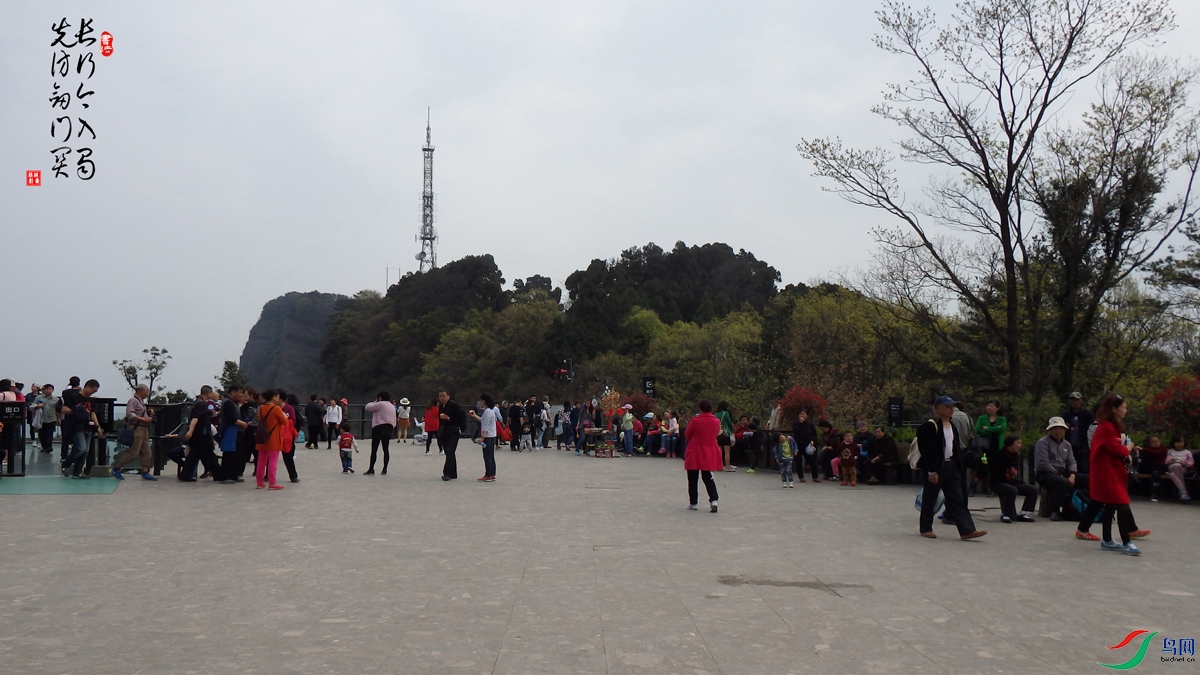 ���н�����   �ȷý��Ź�9.jpg