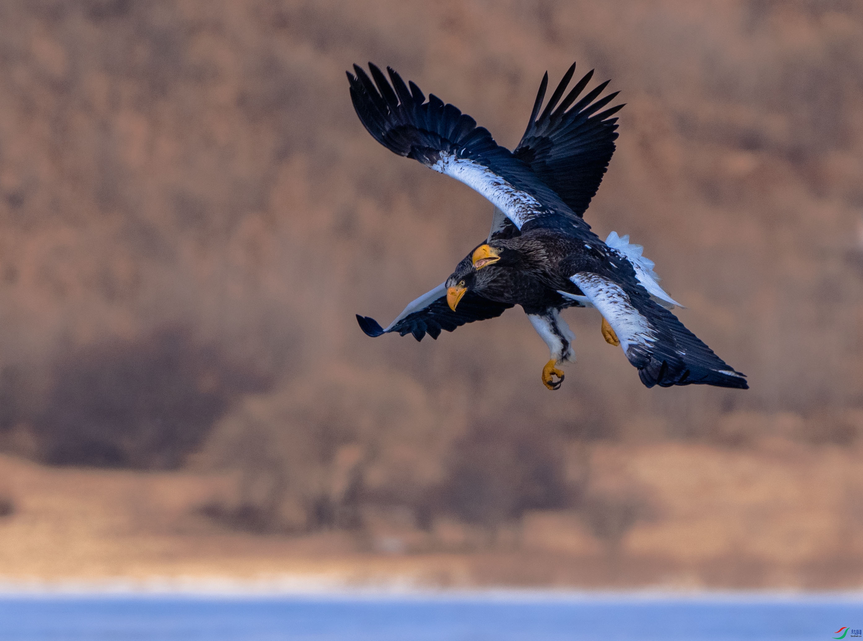 ��ͷ�������˫��