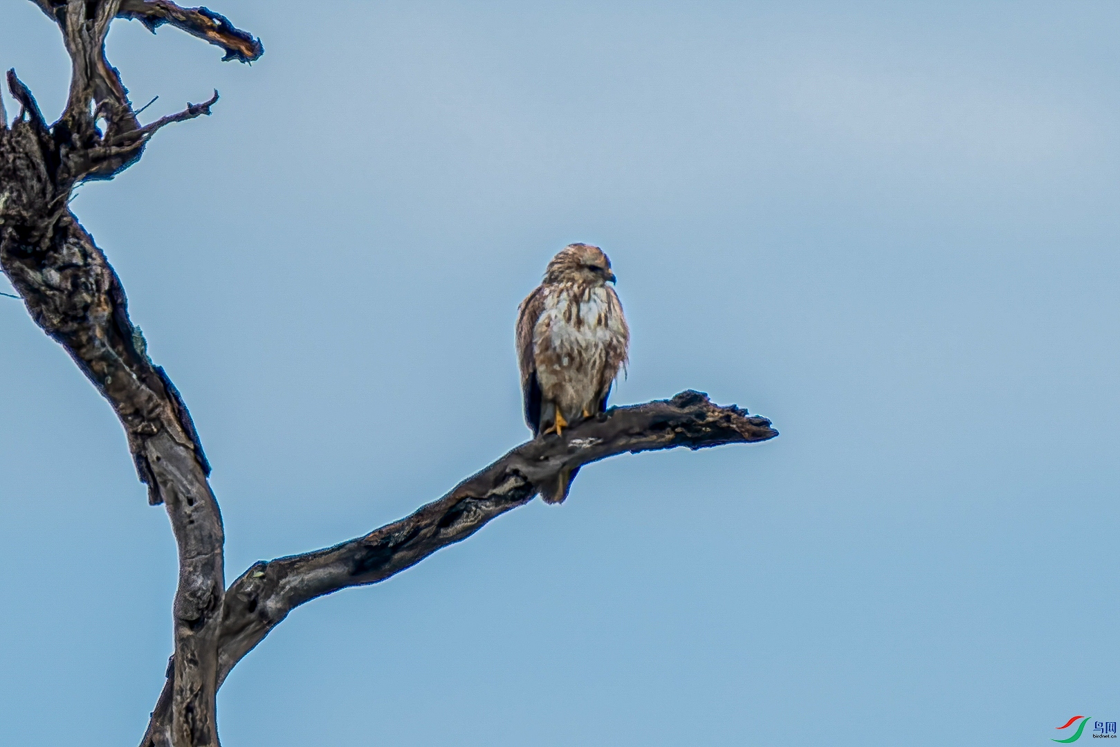 DSC_1840������