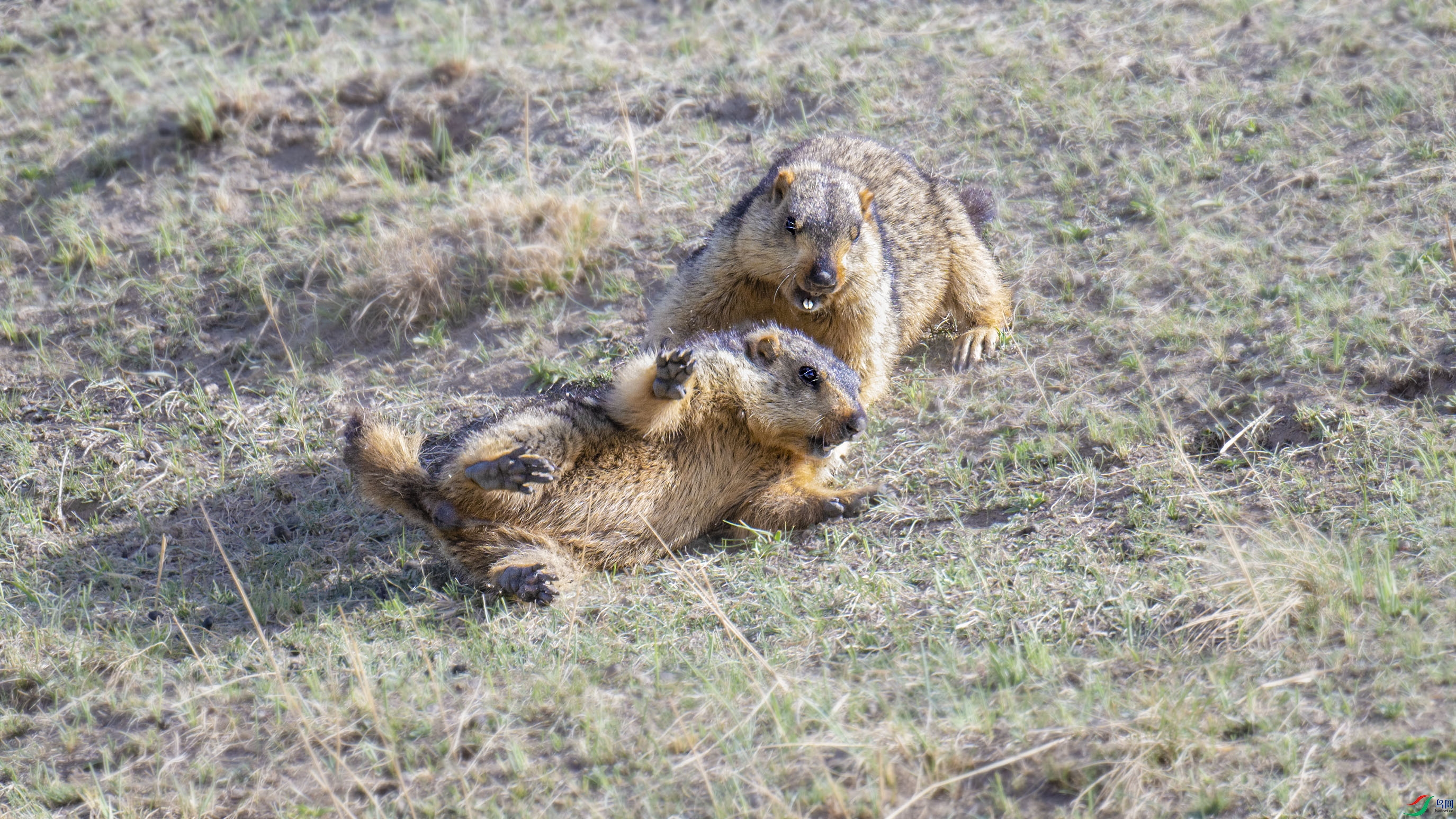 DSC_7233_DxO.jpg