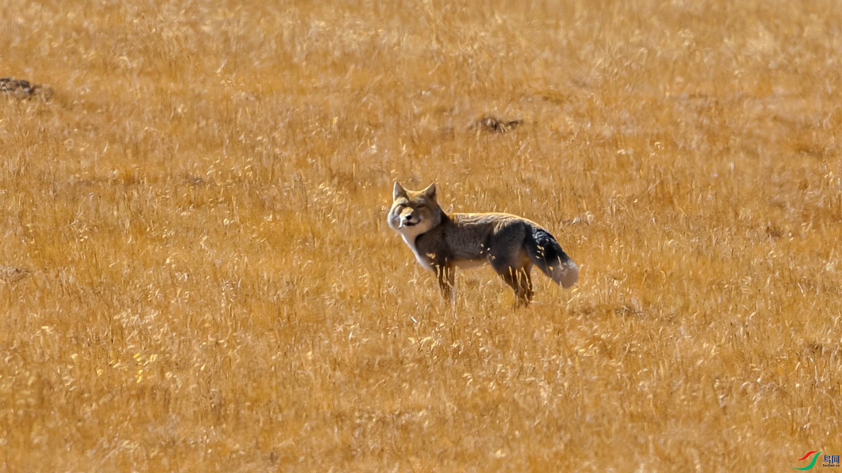 DSC_6665.JPG