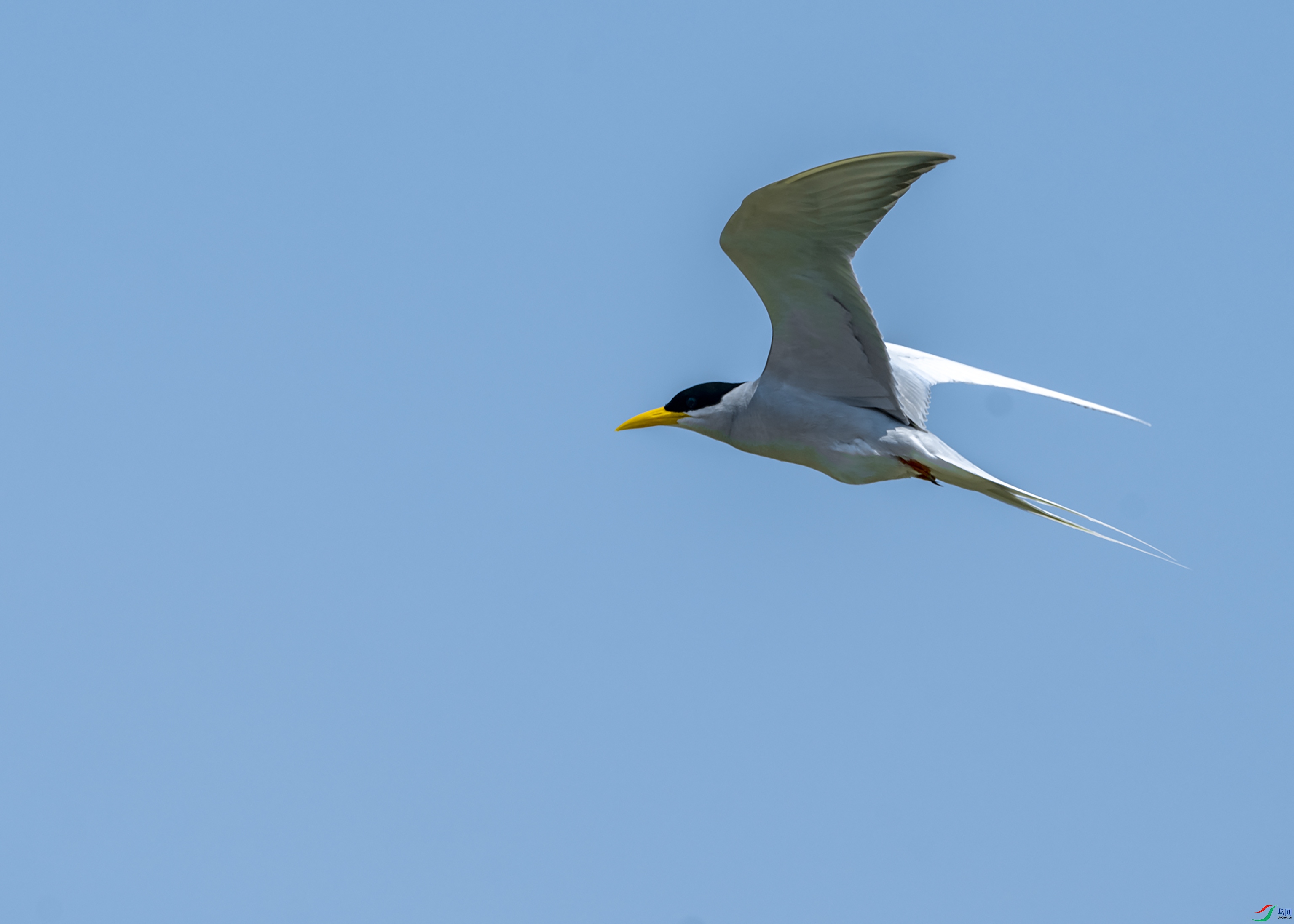 0336 ����.jpg