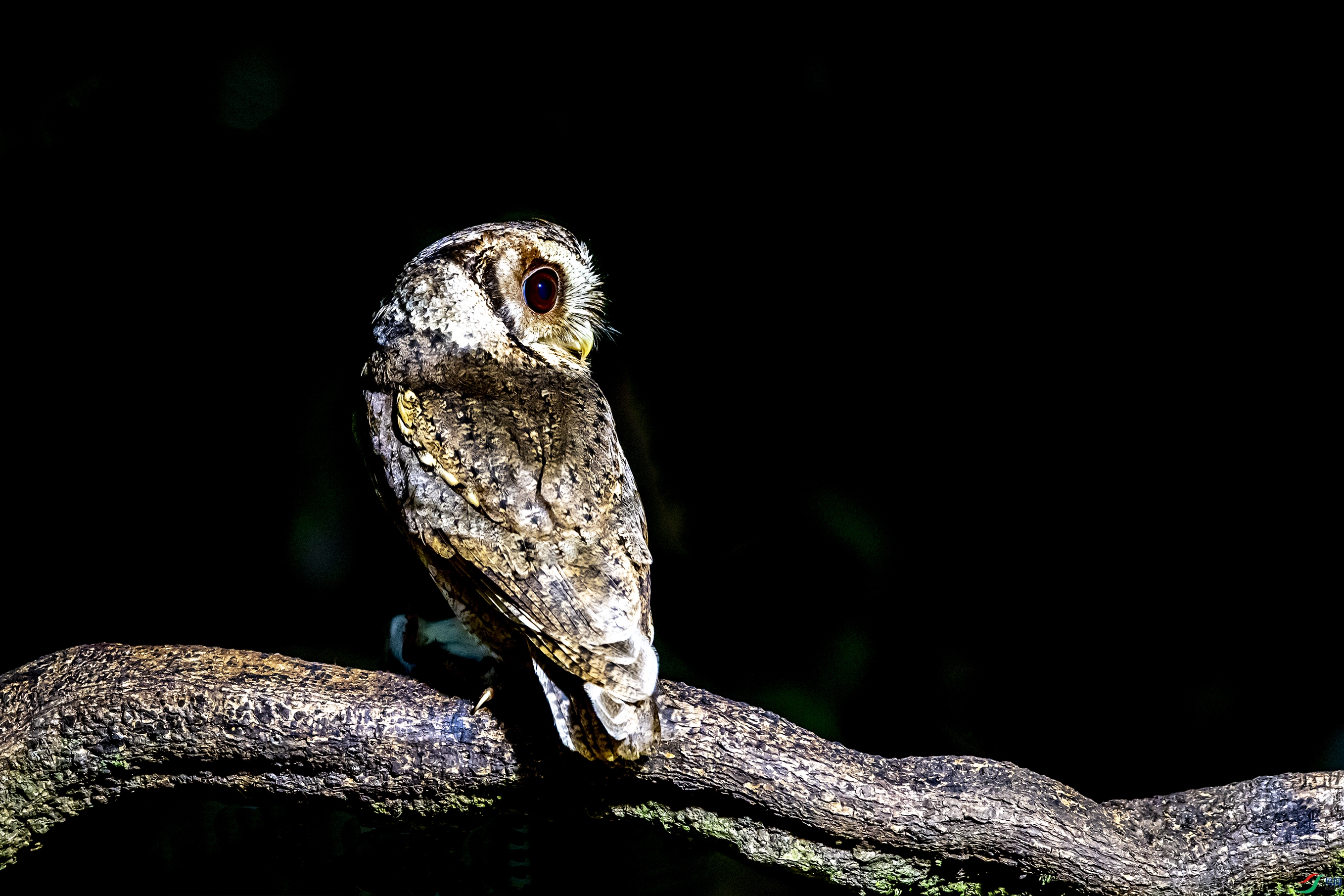 9533 ����.jpg