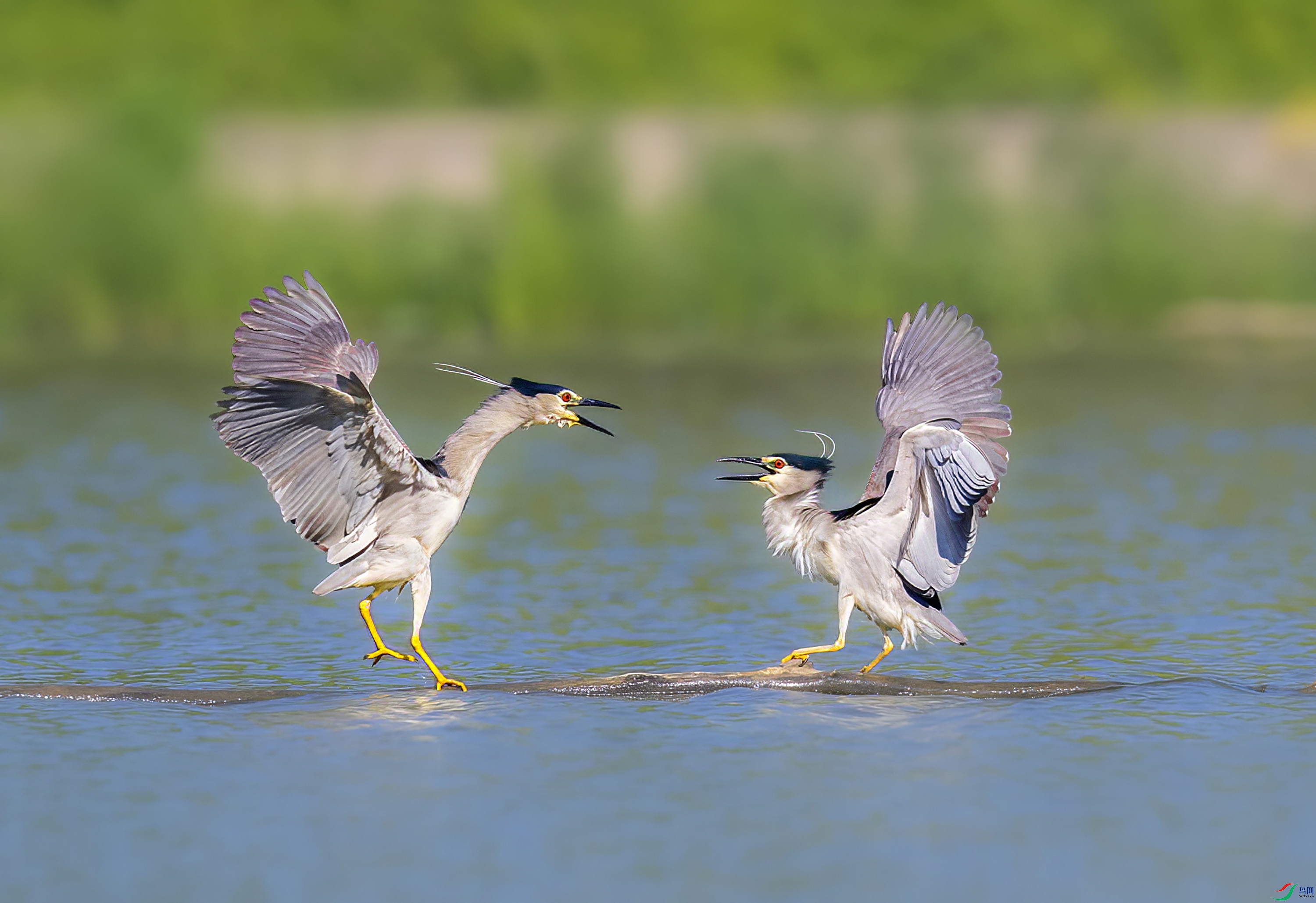 _JLN1048 ����OK.jpg