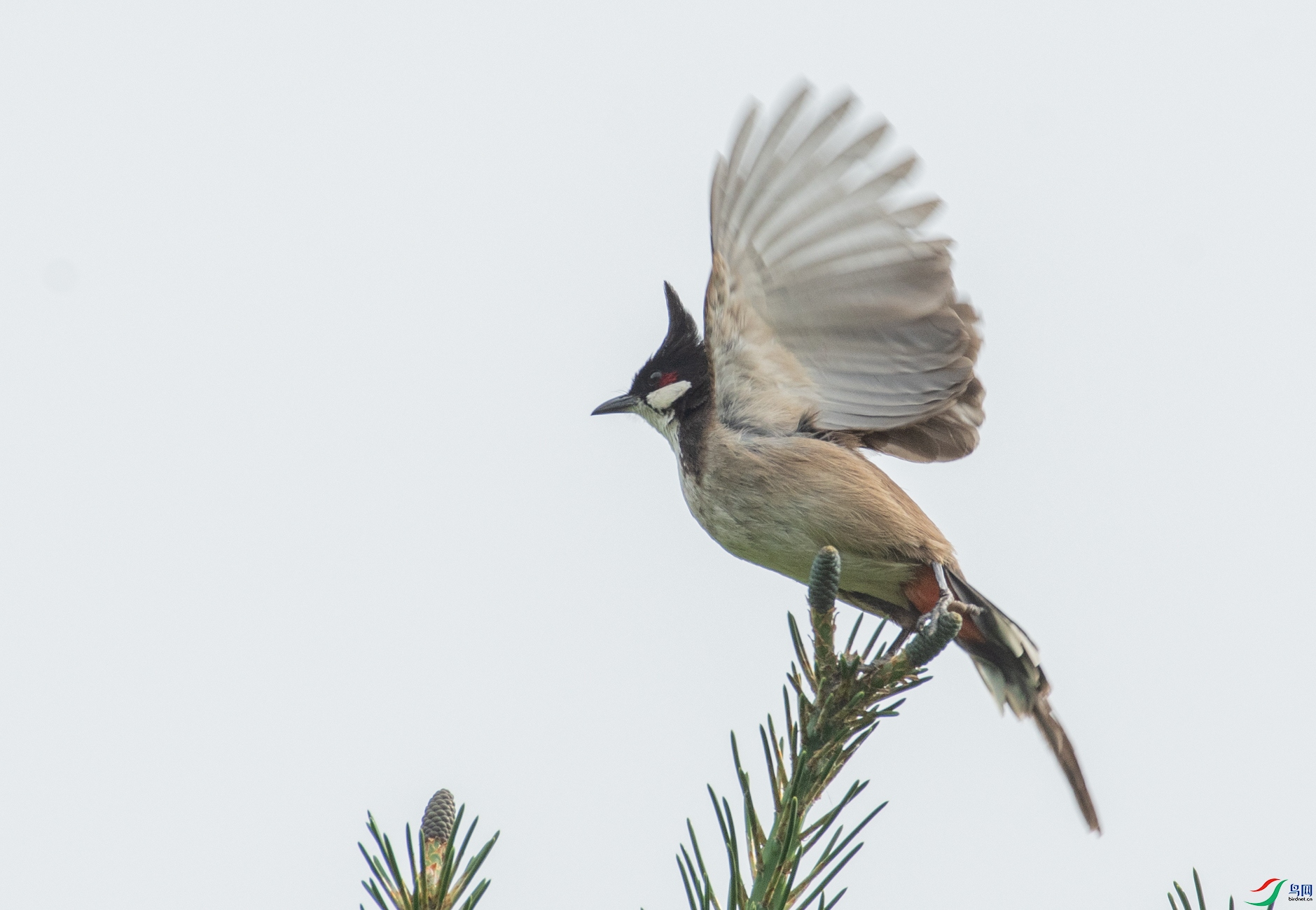 DSC_5415.jpg