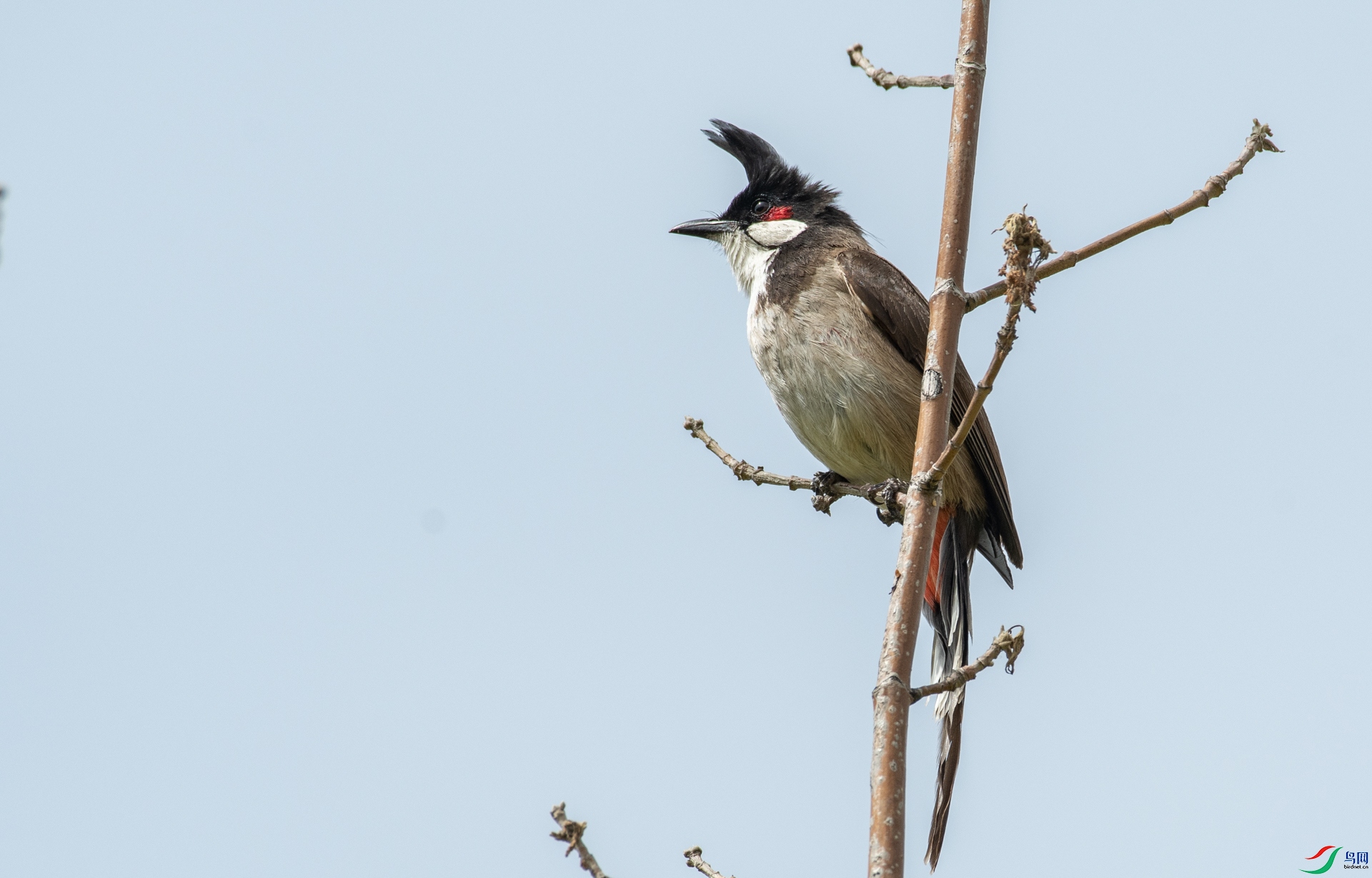 DSC_5548.jpg