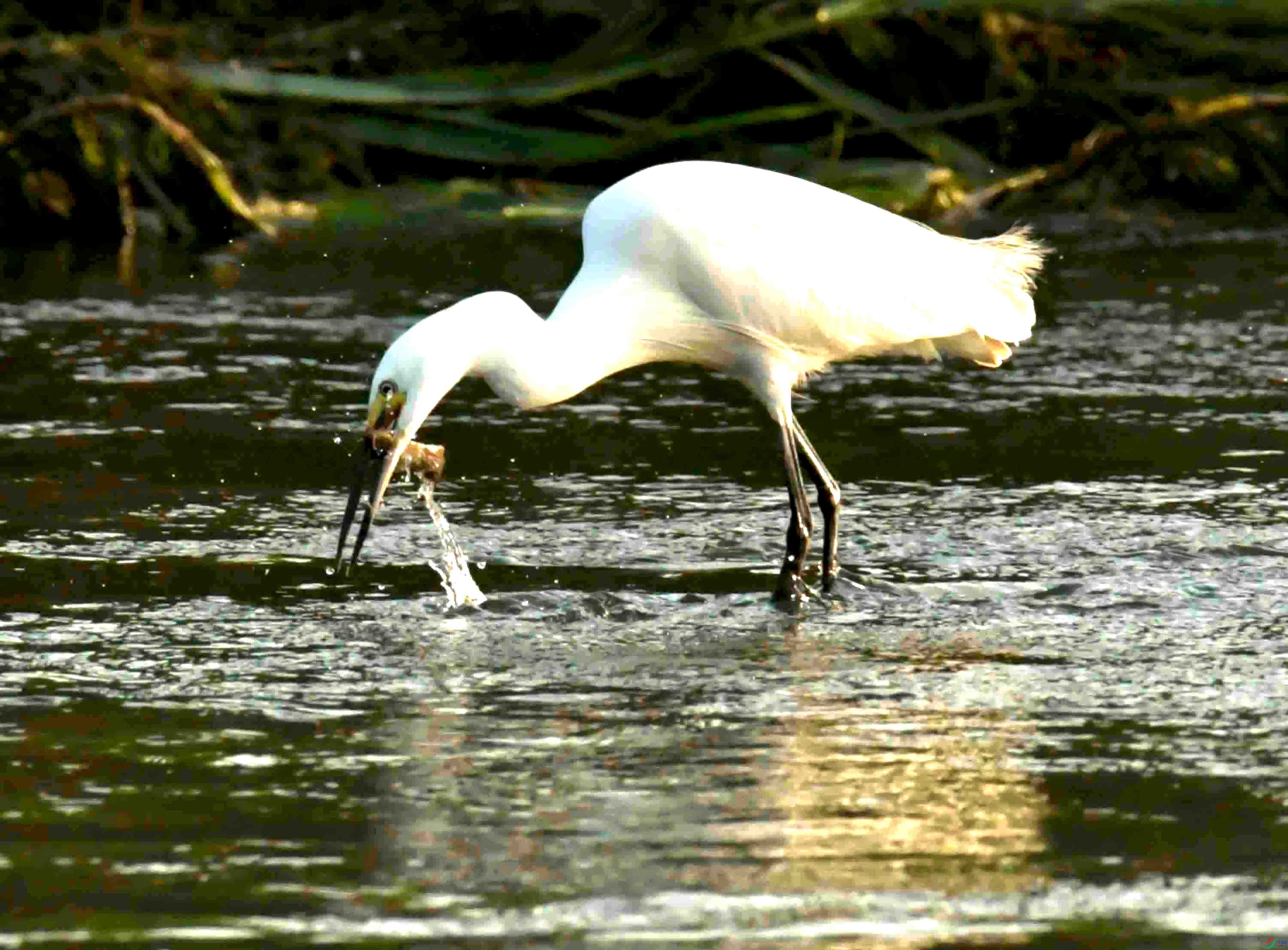 DSC_3002.JPG