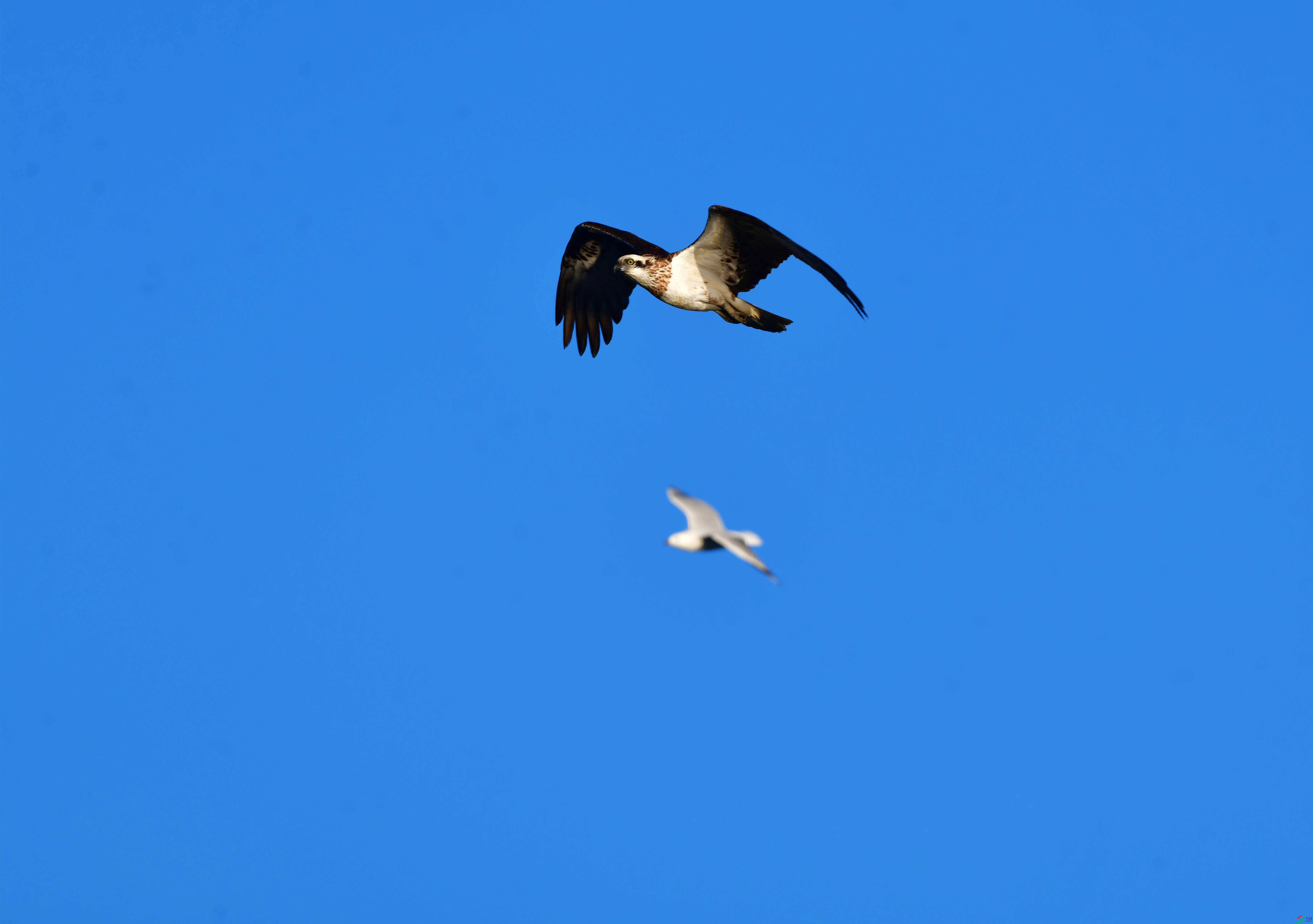 DSC_1766_��ͼ��_����77.jpg