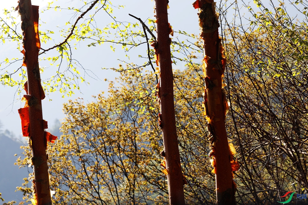 �������ļ���ȴ��һ������Ĵ���