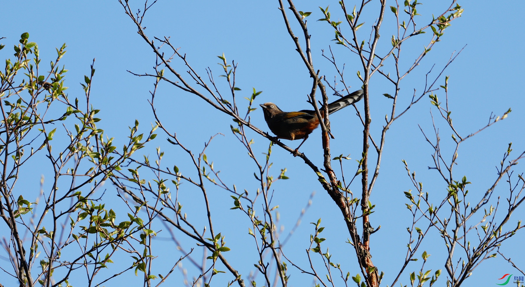 �ȳ������ò�̫�����ĸ�����ӭ��