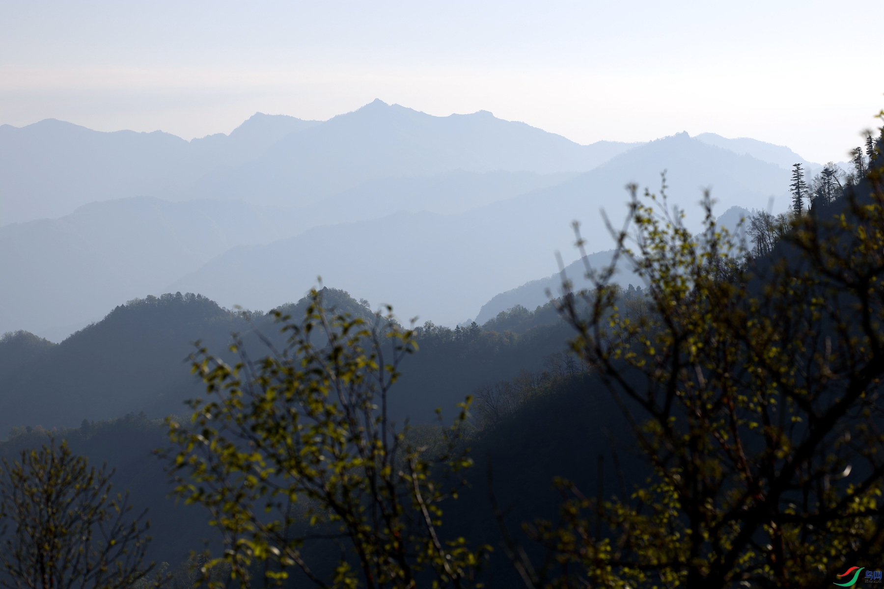 �����������Ҫ��ʫ��Զ��