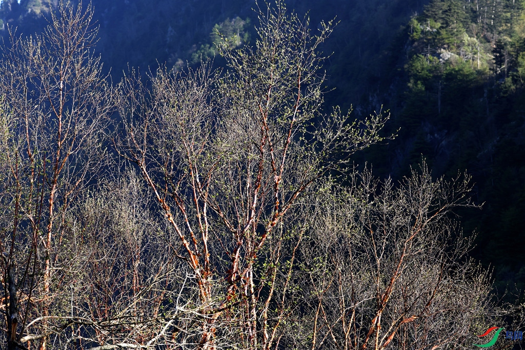 ���������Ŀ�����