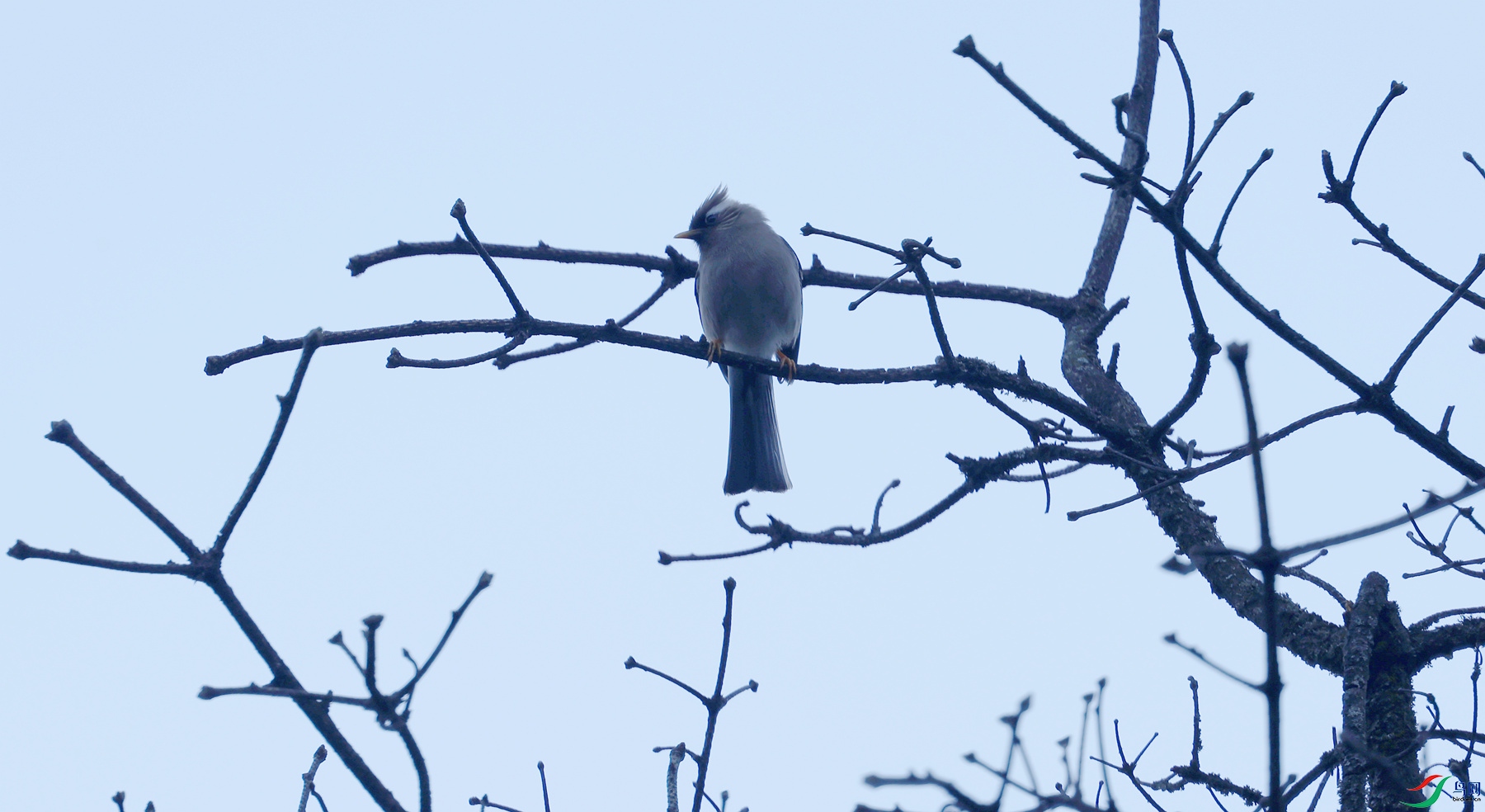 һֻ��������ٻ��ҹ�ȥ����