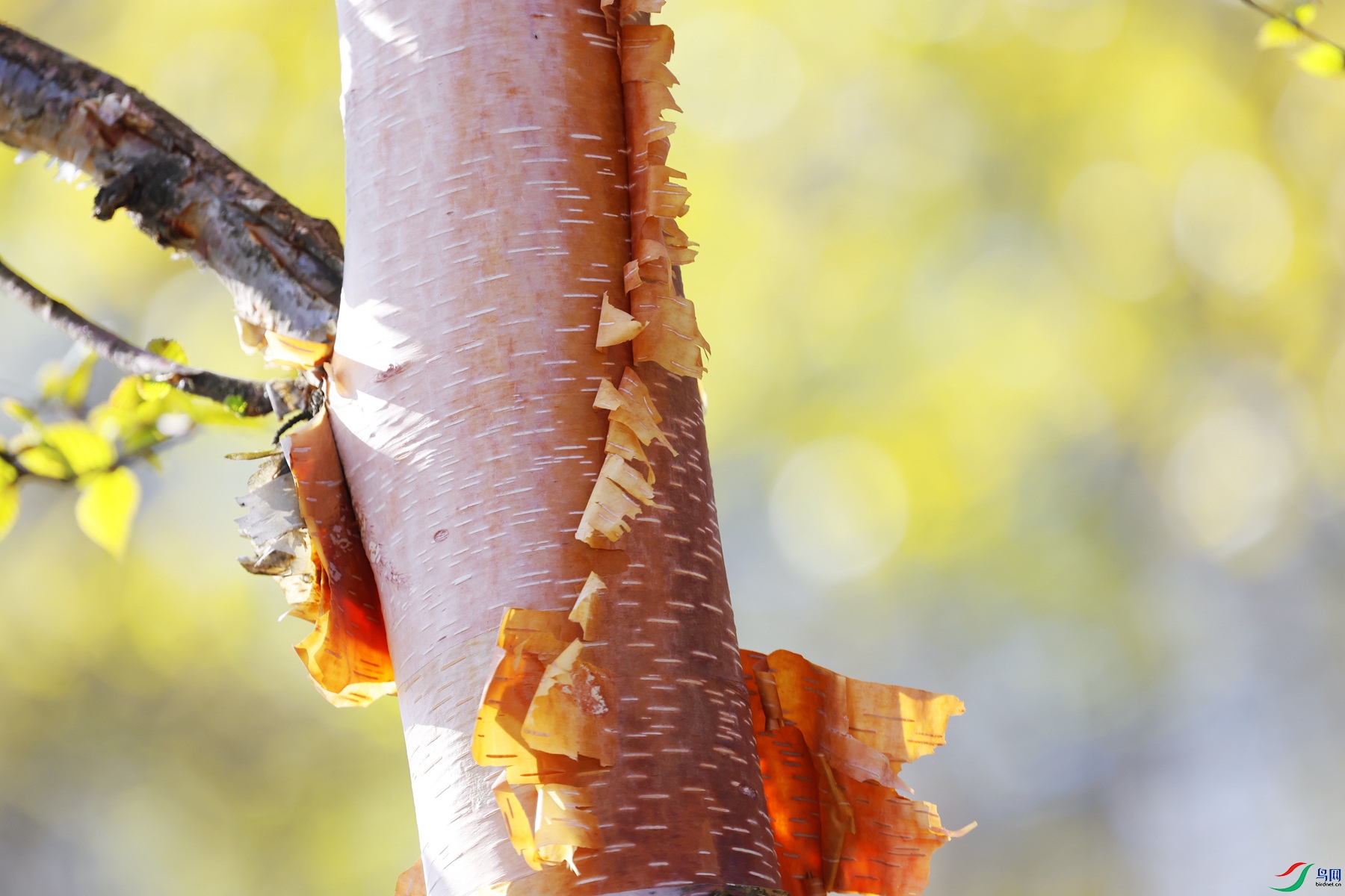 �����еĺ�������������