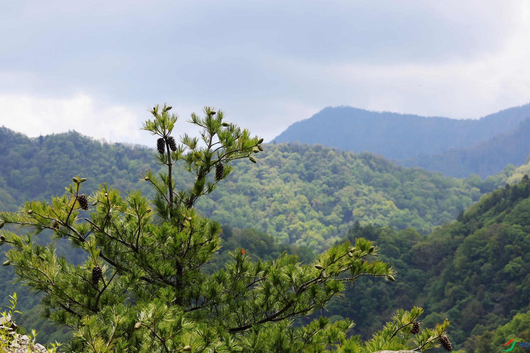 ���������룬�������ȥ��