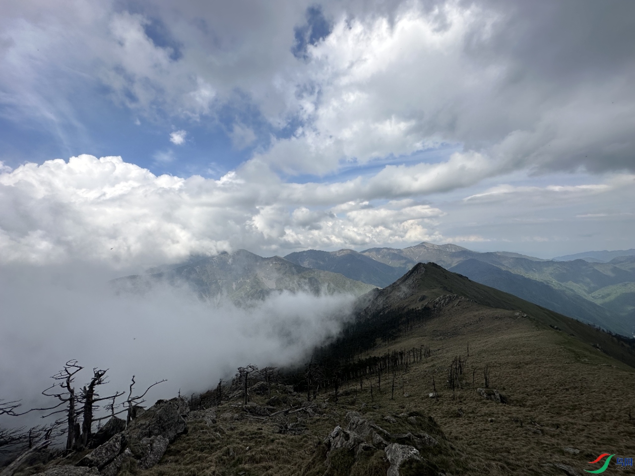 ������룬�ƺ�������ˮī�����Ǹ߸��ɽ������������������