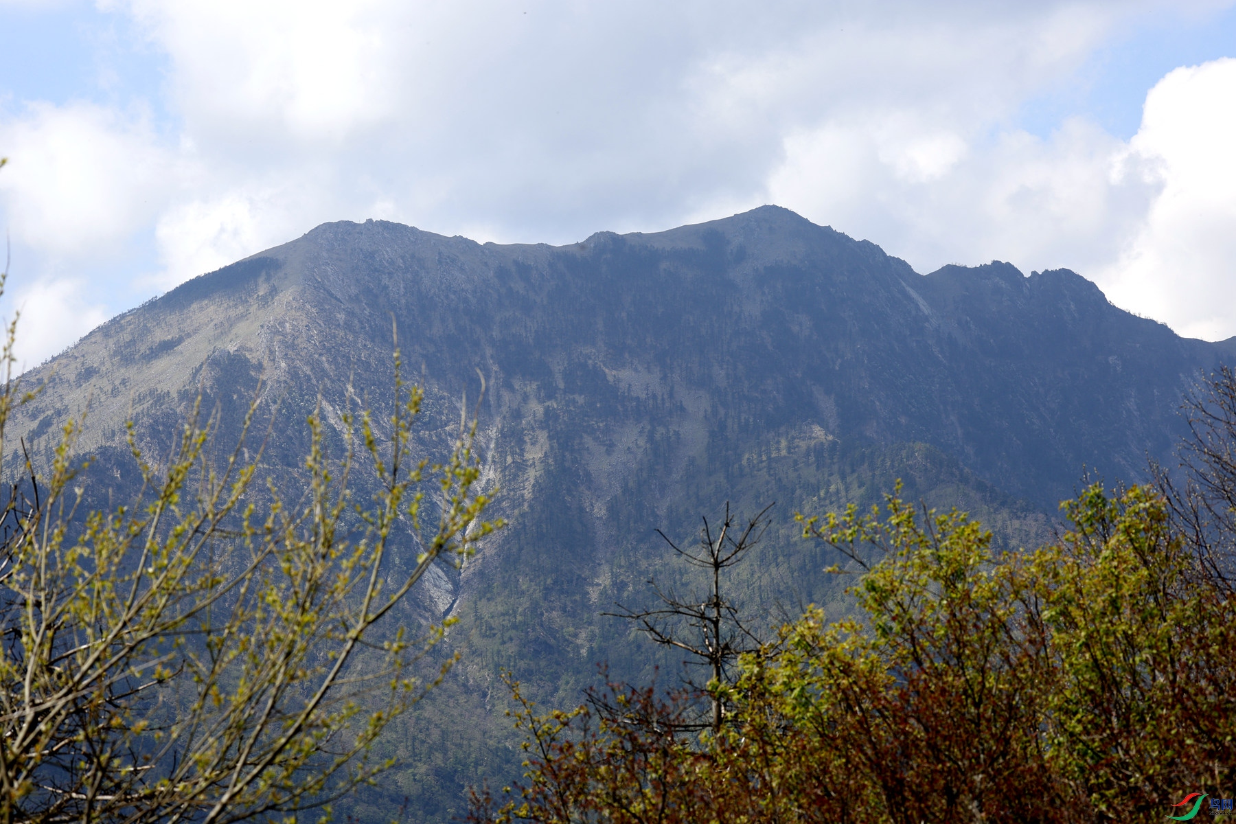 �����ƻõ�����������Ů���µ���