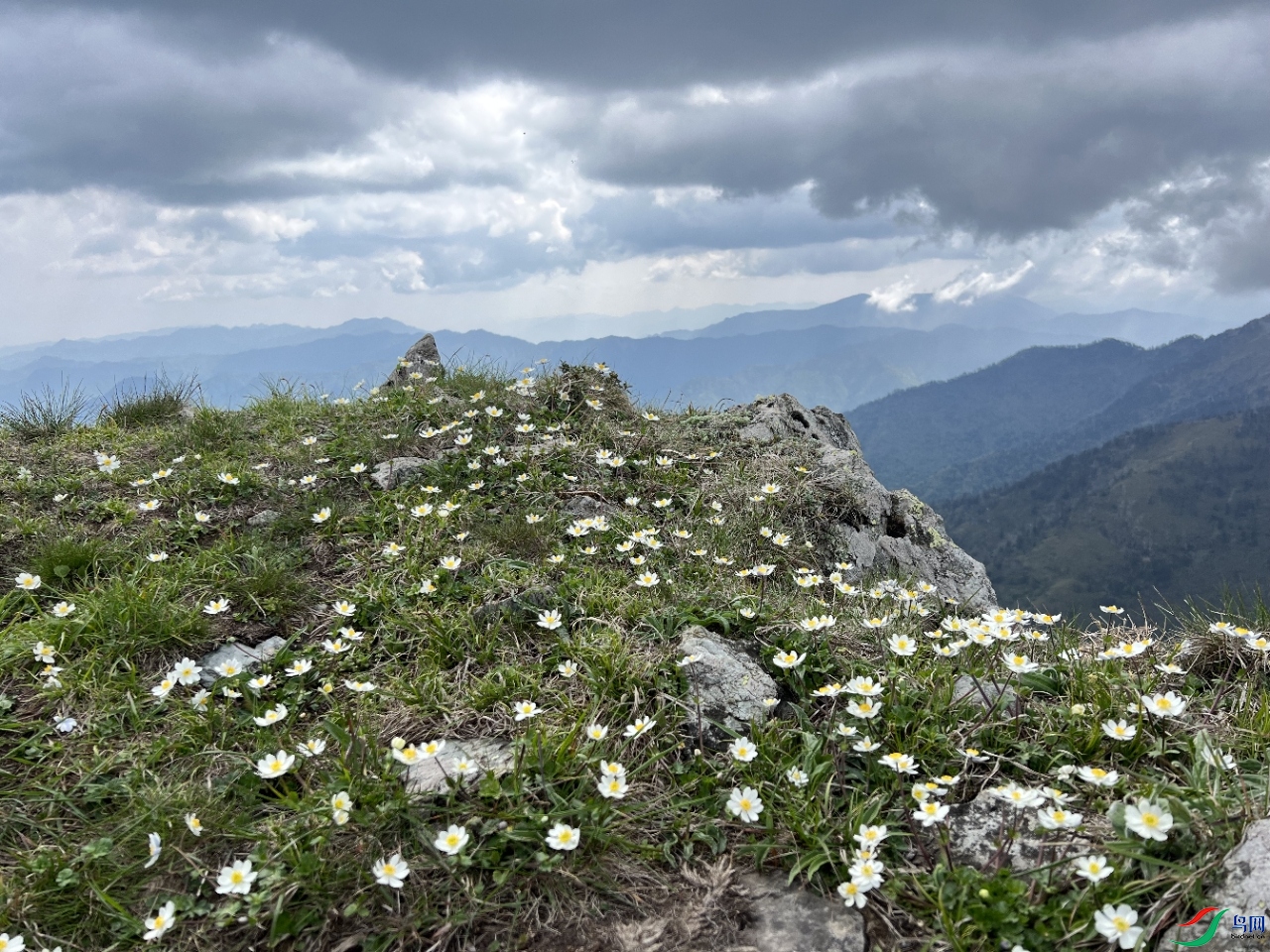 ���£�����֮�۸�ɽ�ž龺��ŭ�ţ��������������ϼ�ɣ�����ʤ��