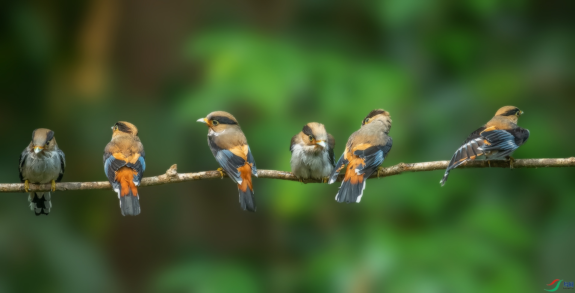 DSC_3620.jpg