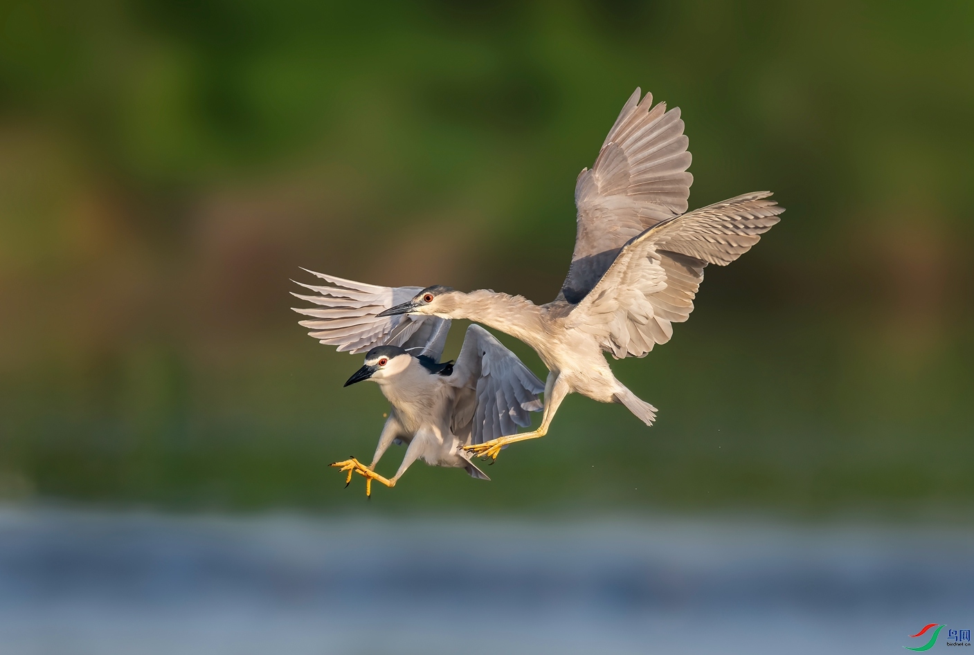 DSC_2057 ����_����.jpg